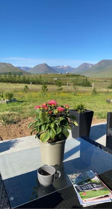 Efri-Rauðilækur in Hörgársveit