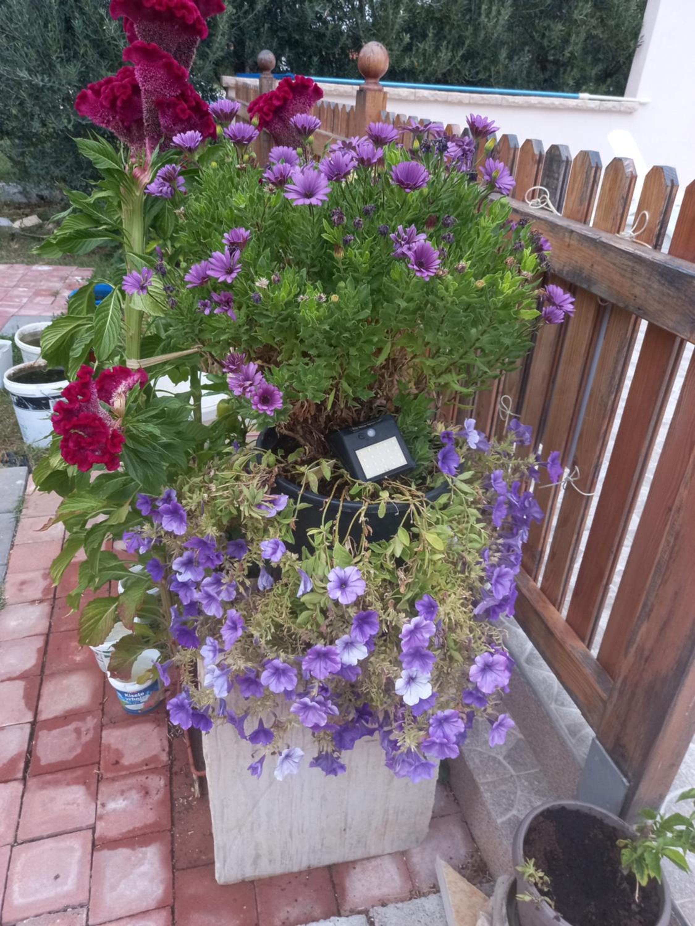 Photo 36