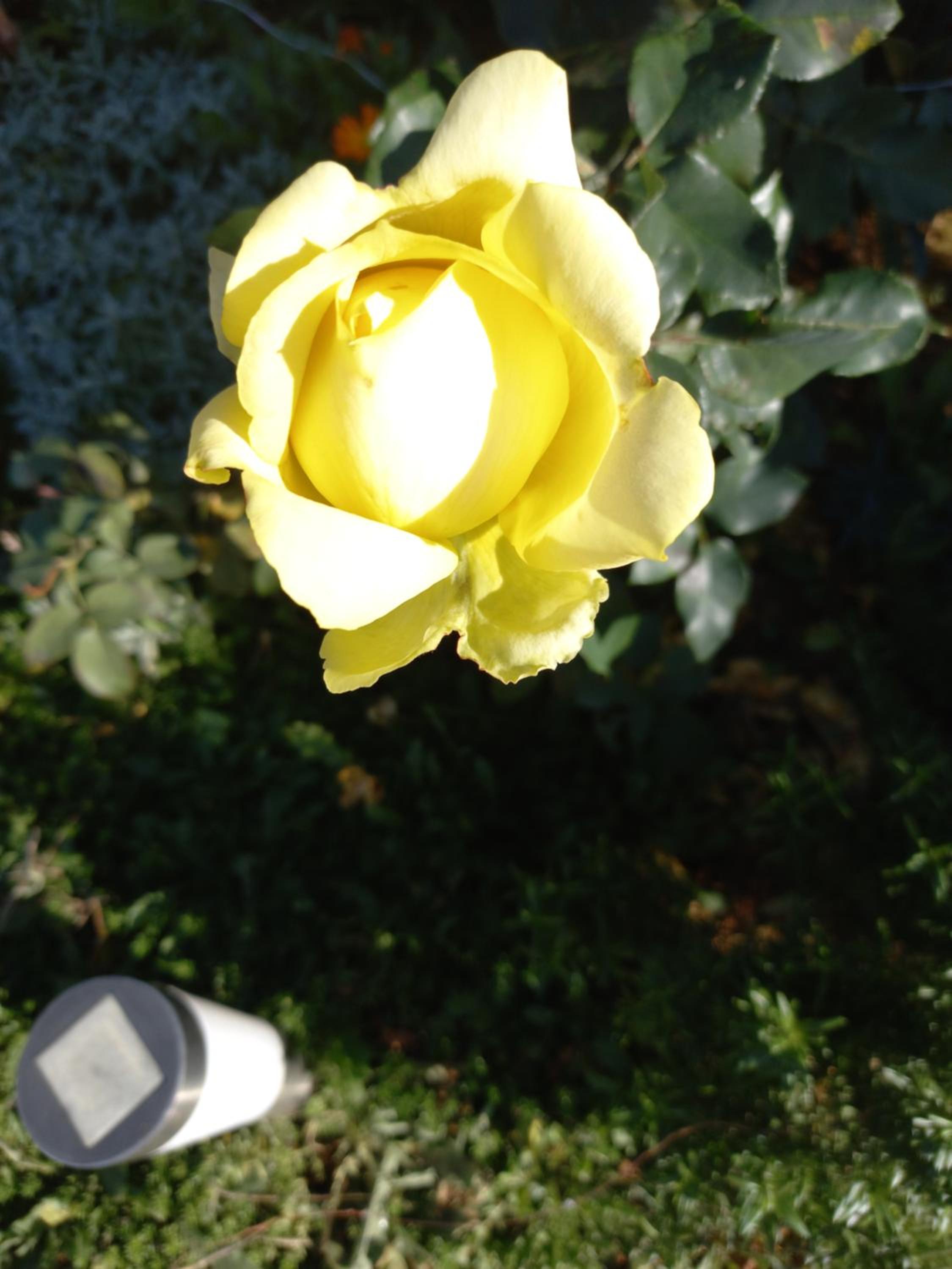 Photo 48