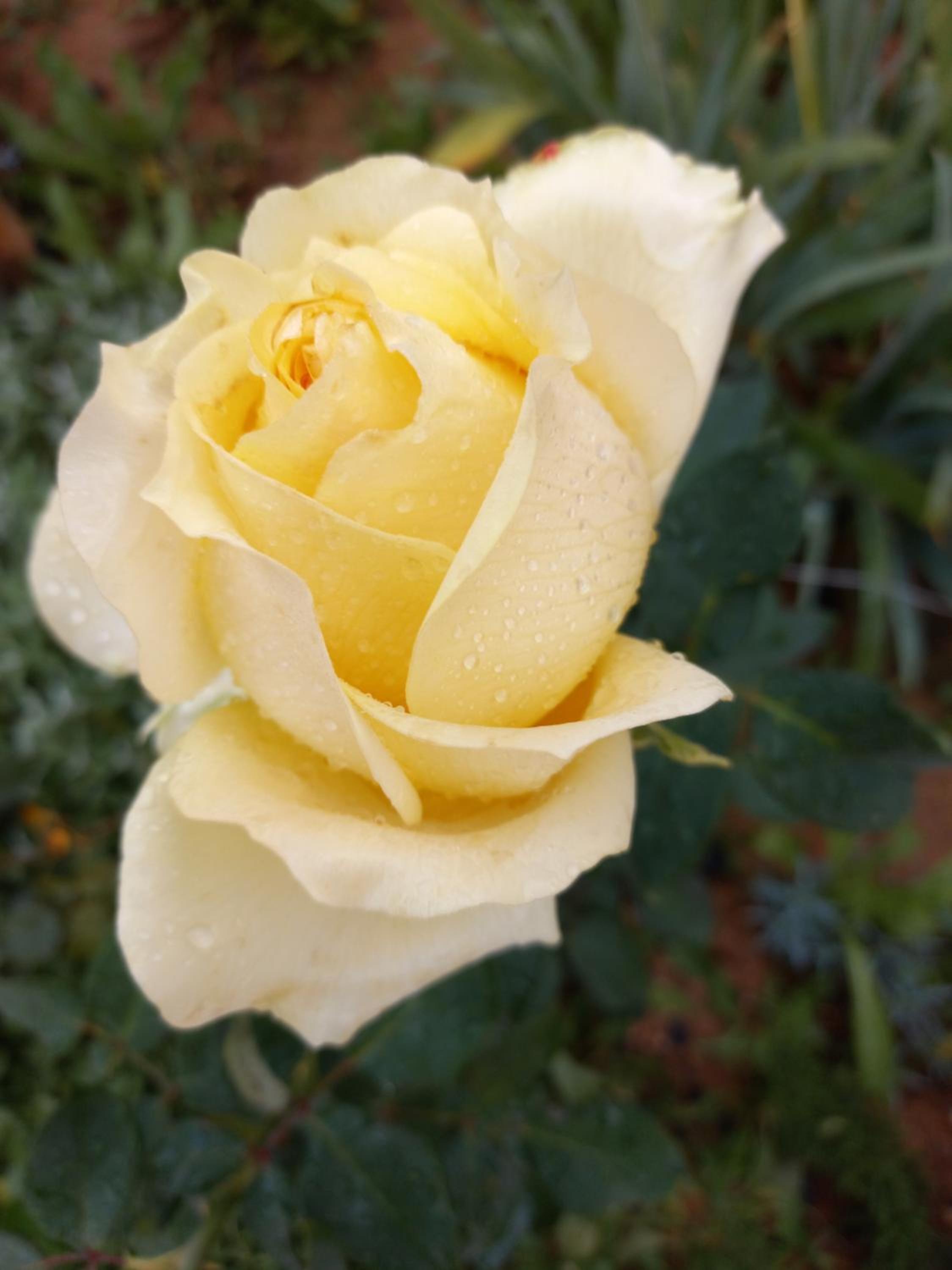 Photo 53