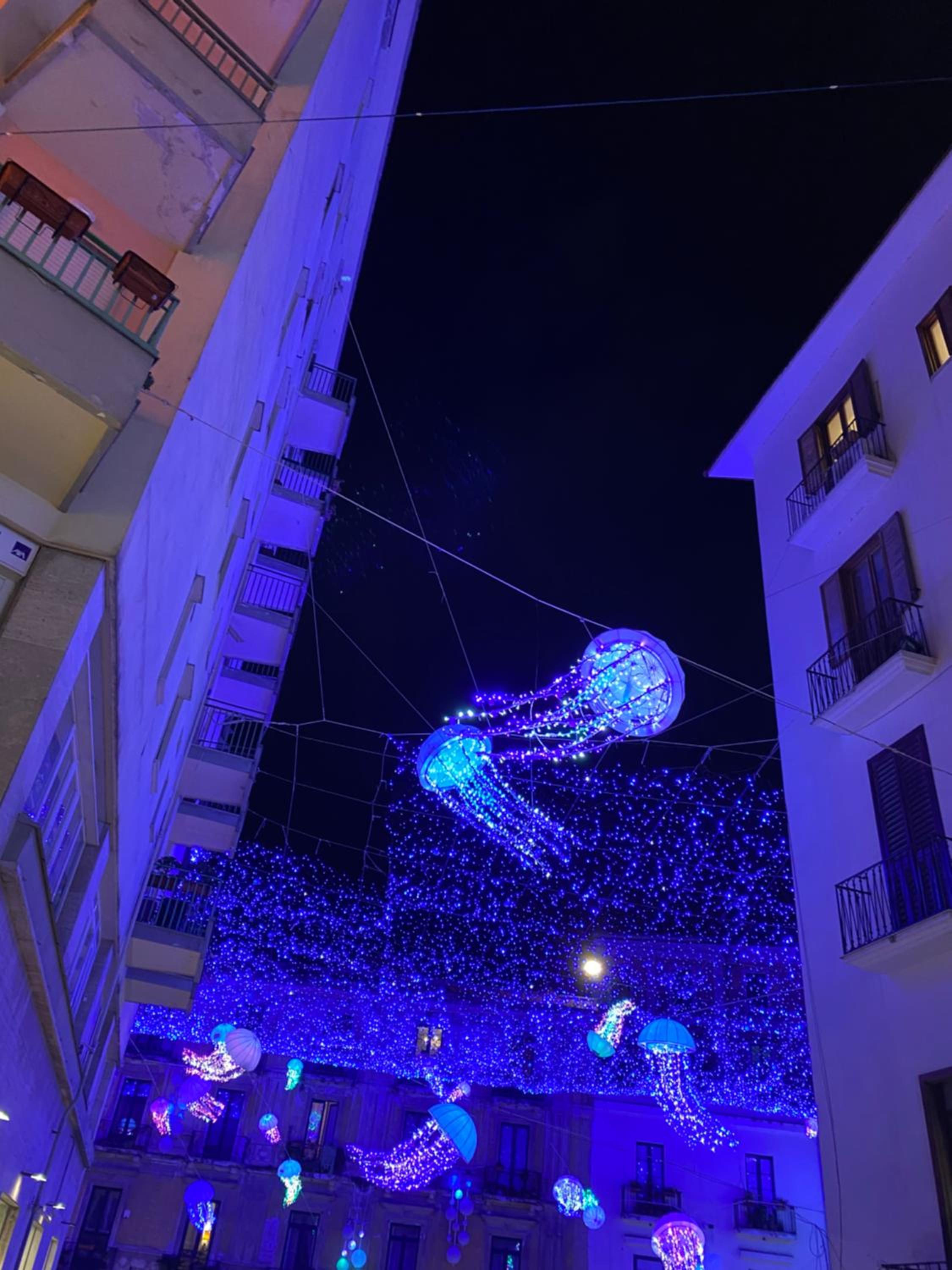 Portacatena Suite
