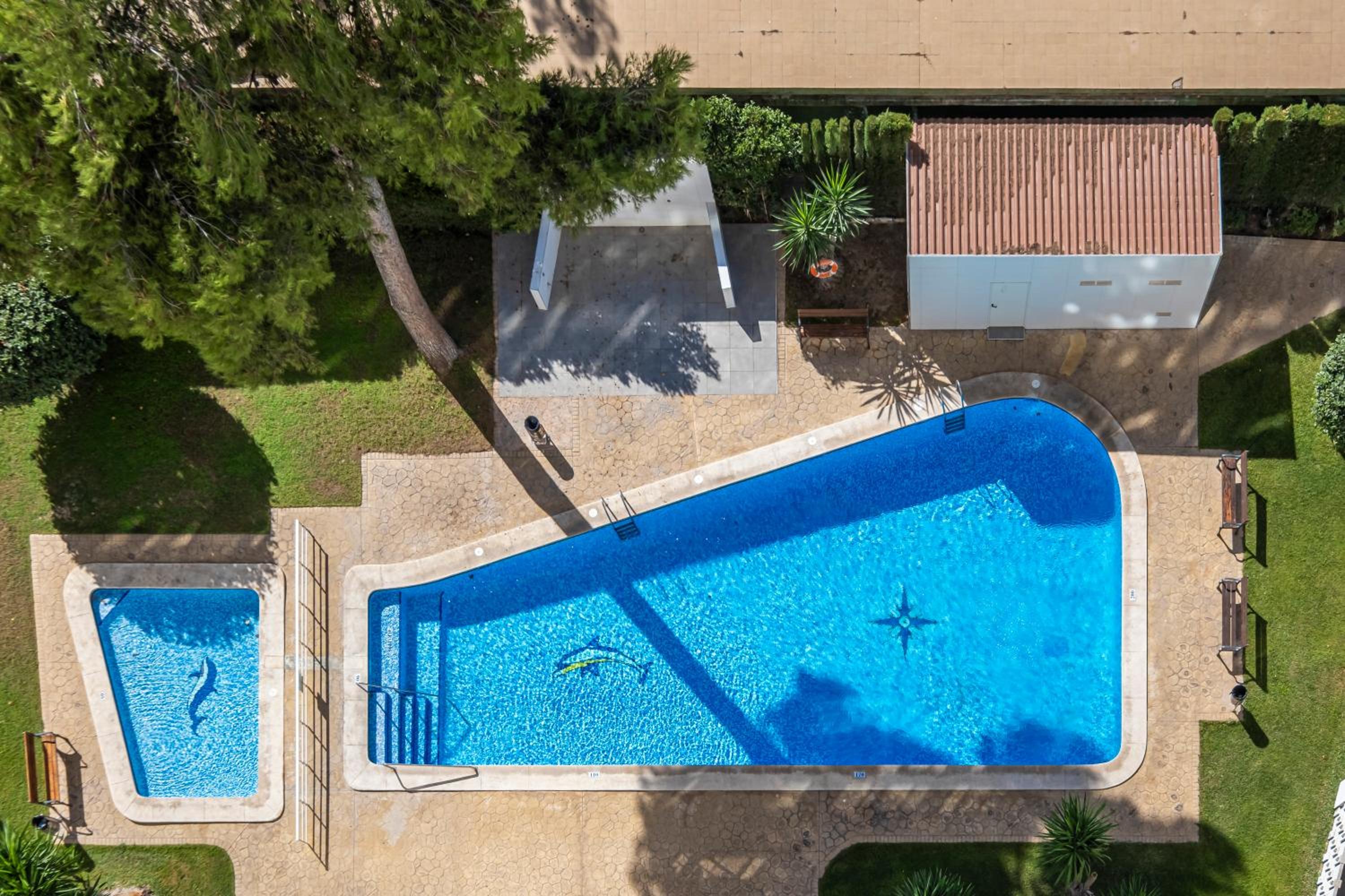 Albatros 14-10 Estudio Levante Beach view 3