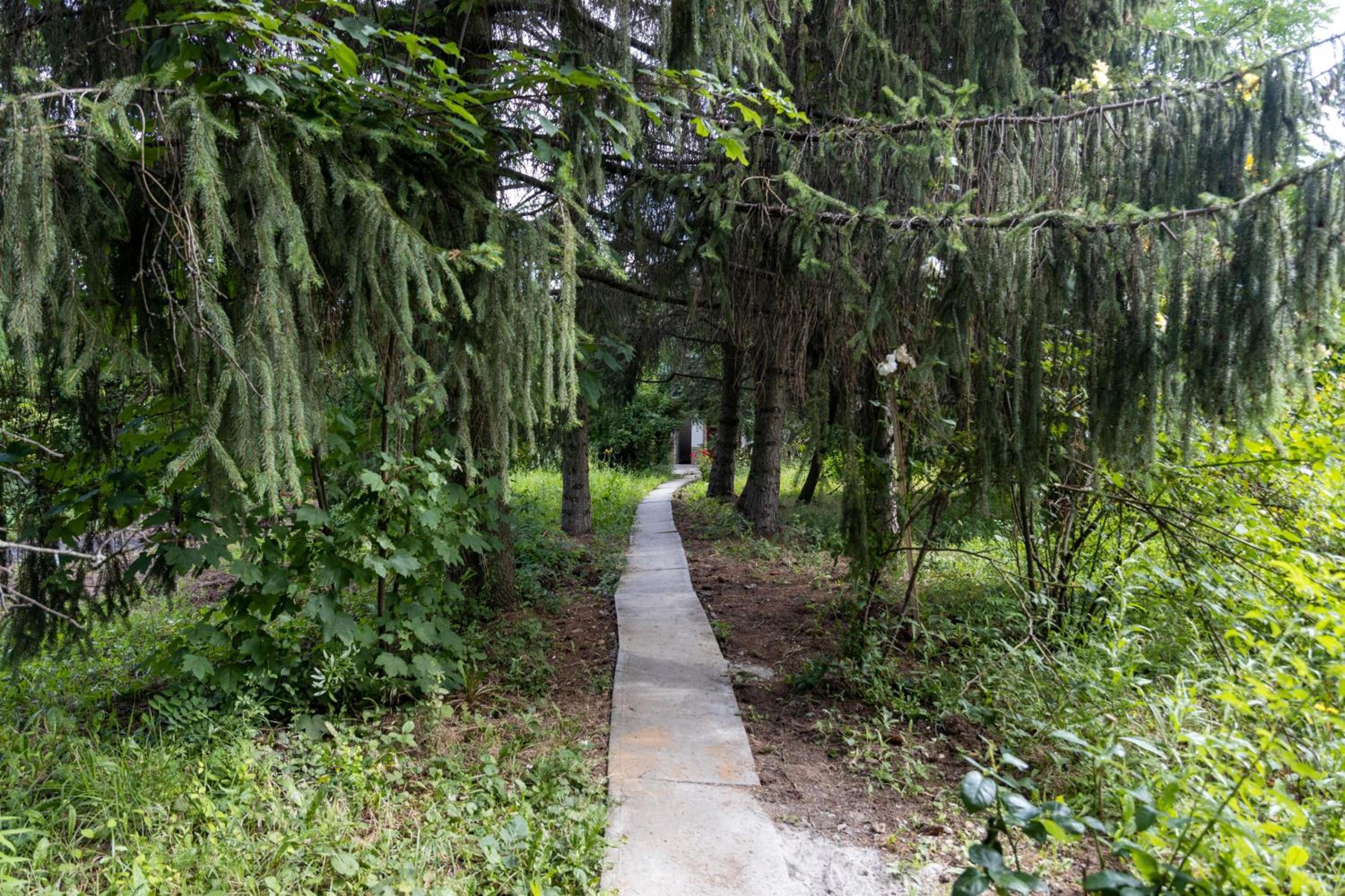Photo 11
