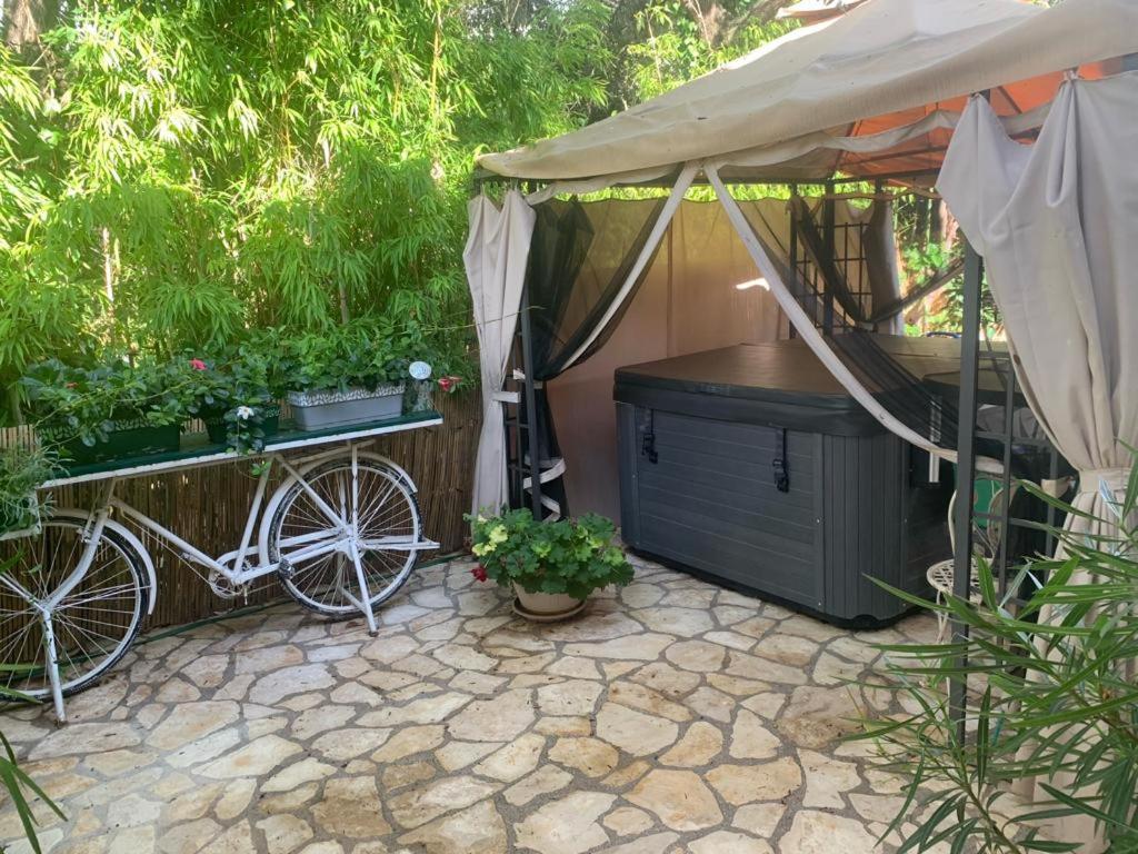 Apartament Abi