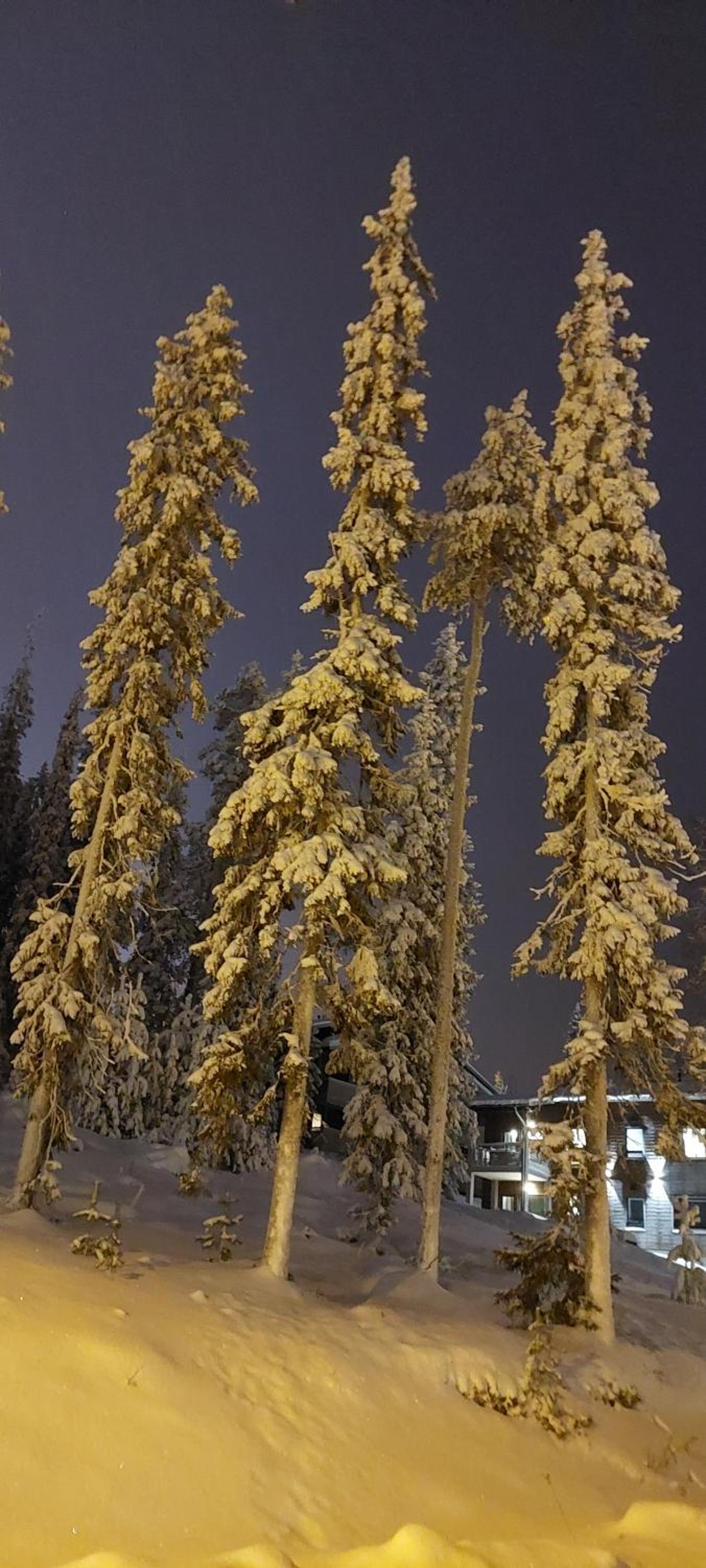 Viihtyisä lomahuoneisto Rukalla!