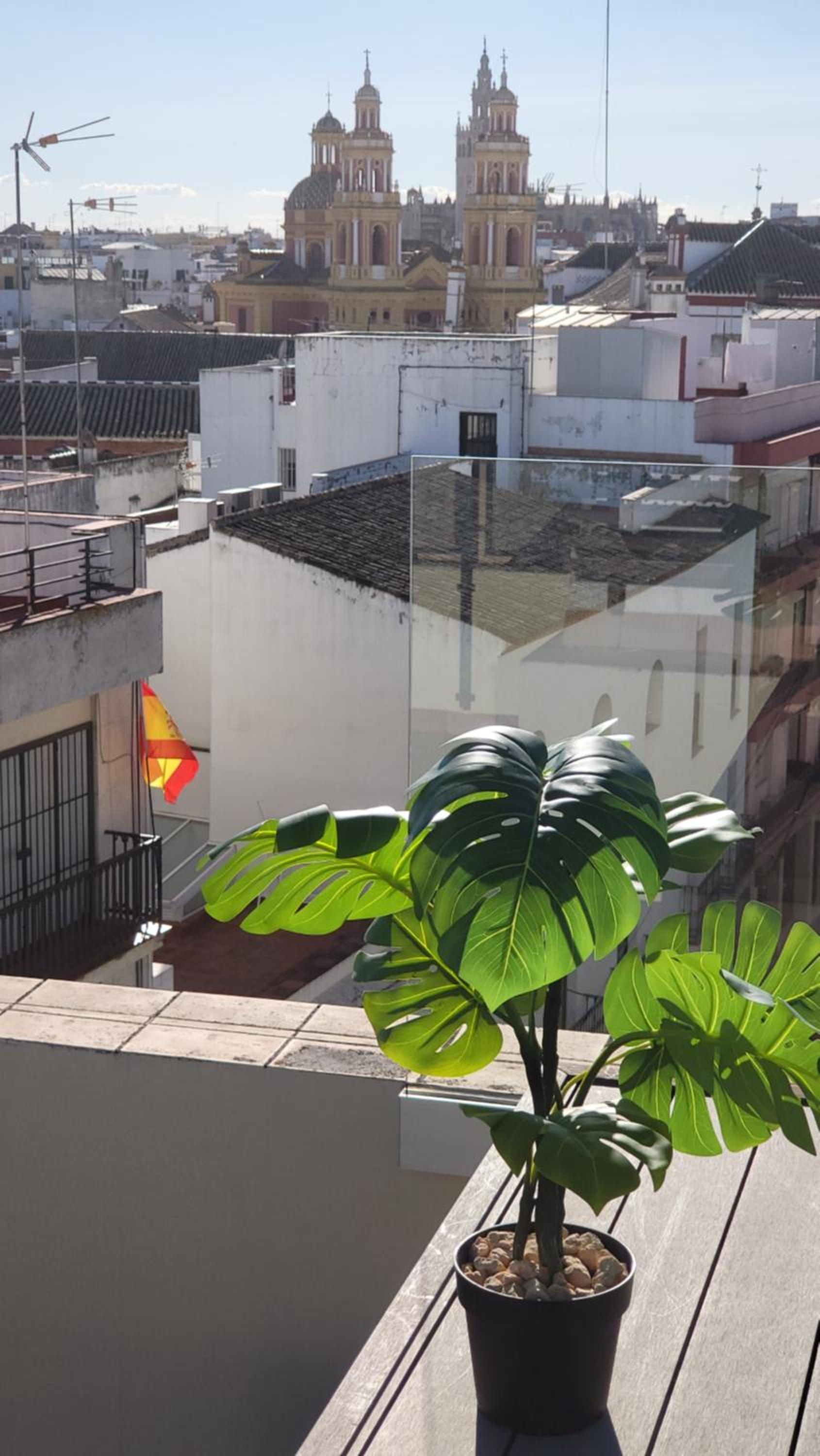 Cardenal Cervantes