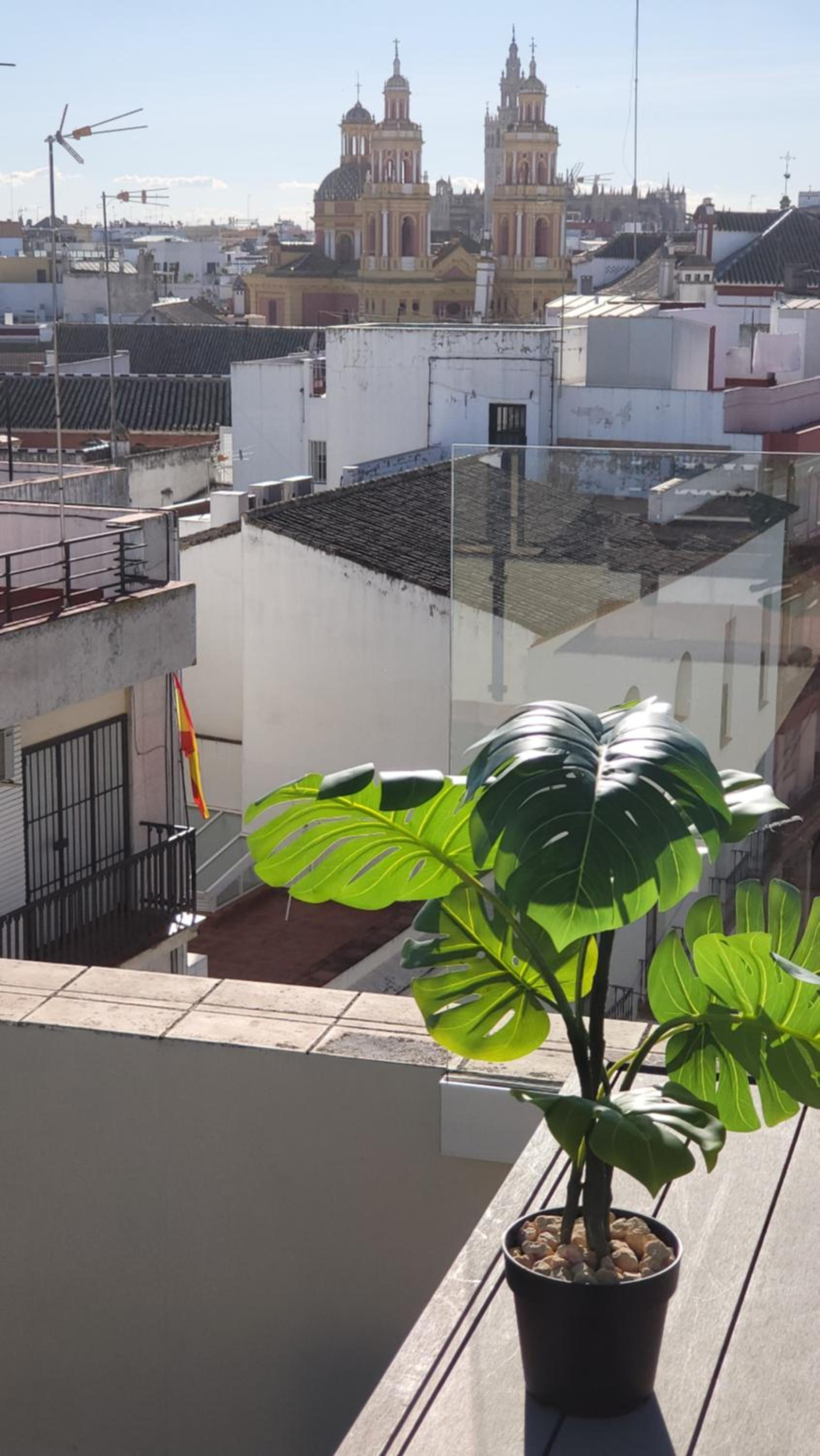 Cardenal Cervantes