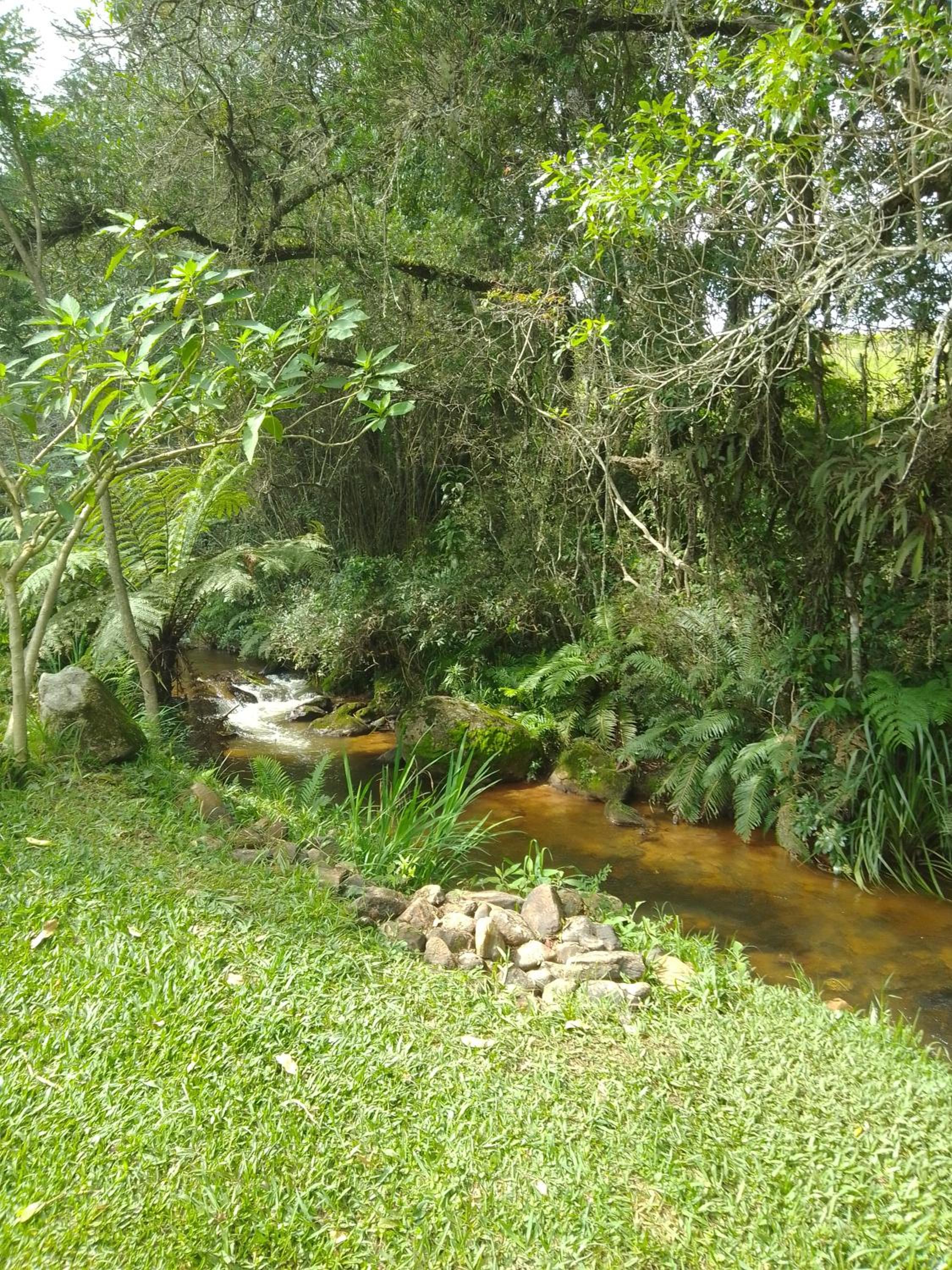 Chalé Lírio Cachoeira do Vale