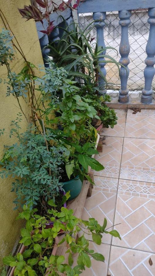 Hospedagem Domiciliar Alternativa