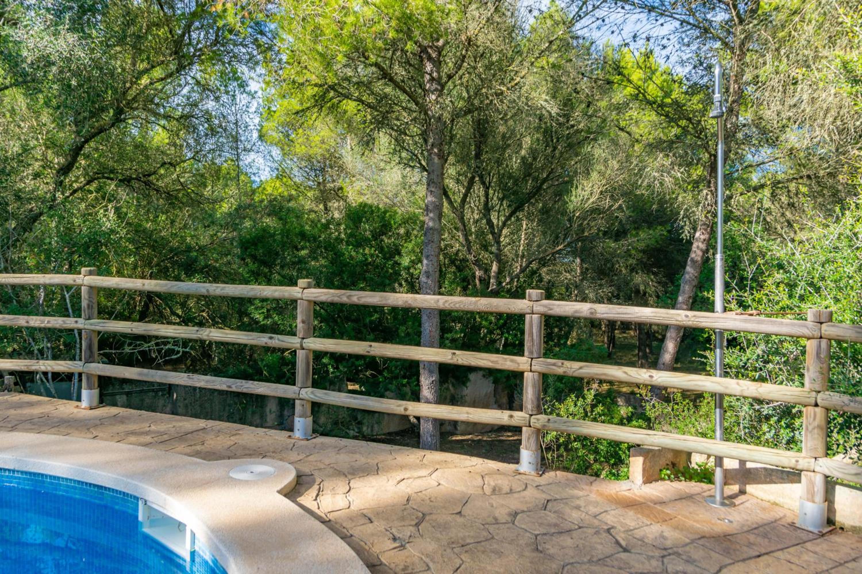 Garriga d'Alcudiola photo 4