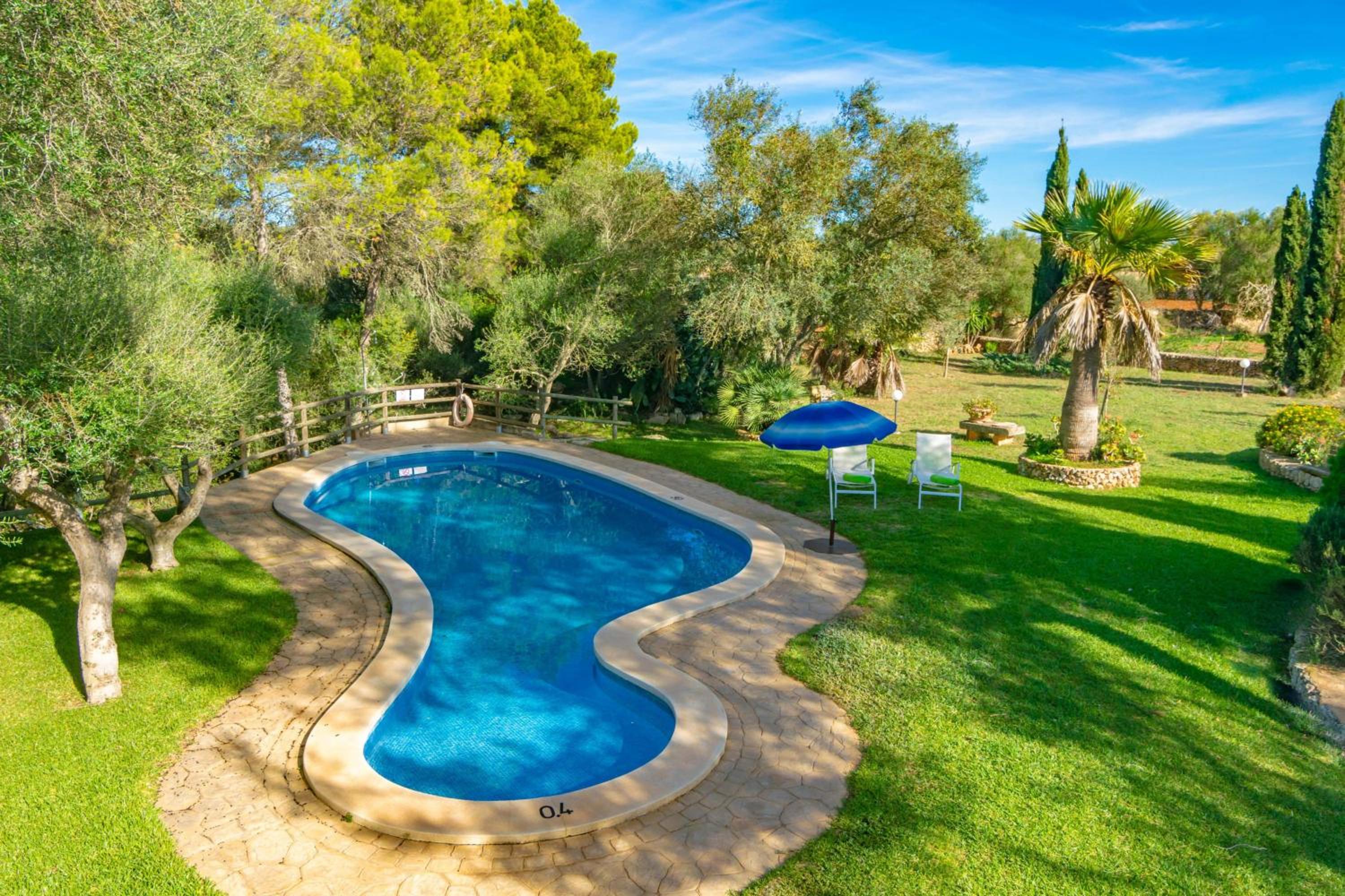 Garriga d'Alcudiola photo 3