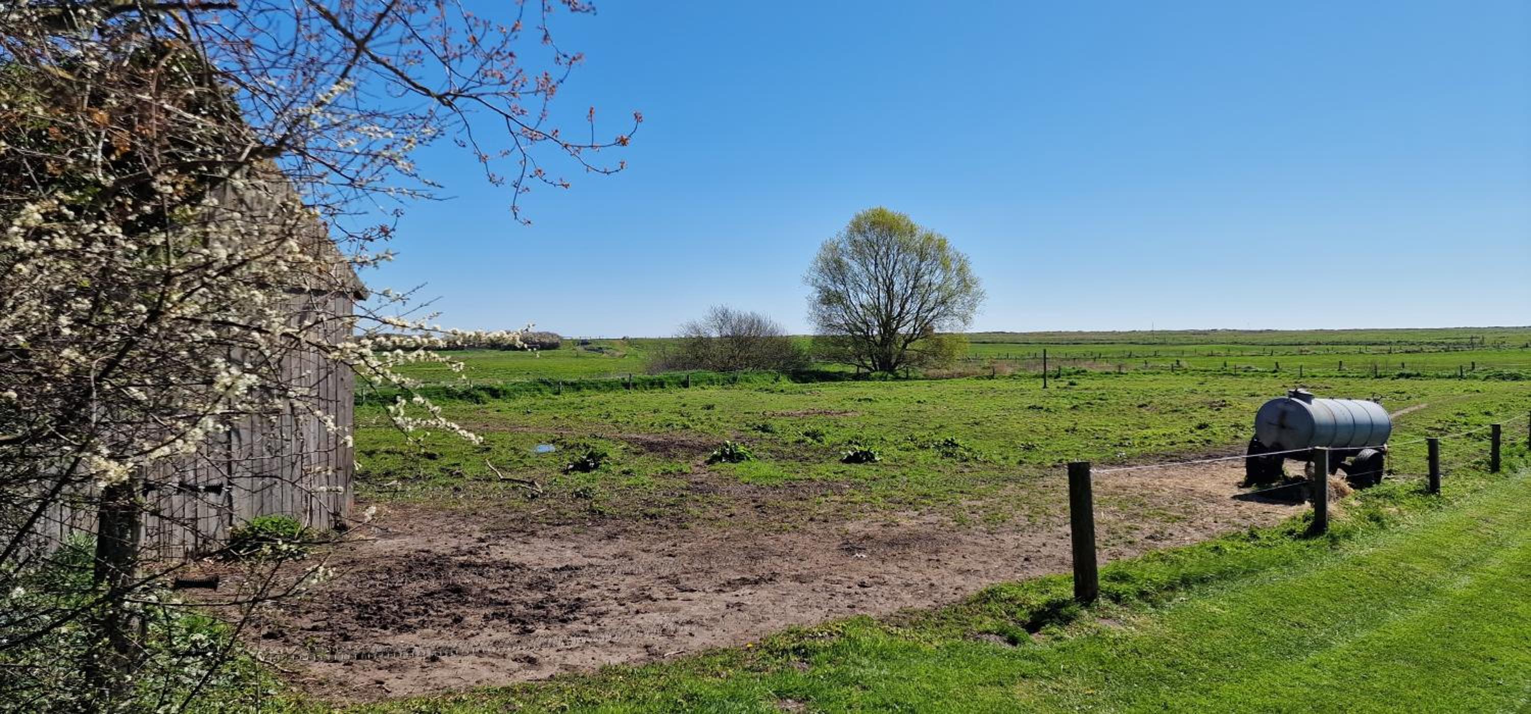 Ferienwohnung 'Nieby' - Refugium Pottloch Ostsee