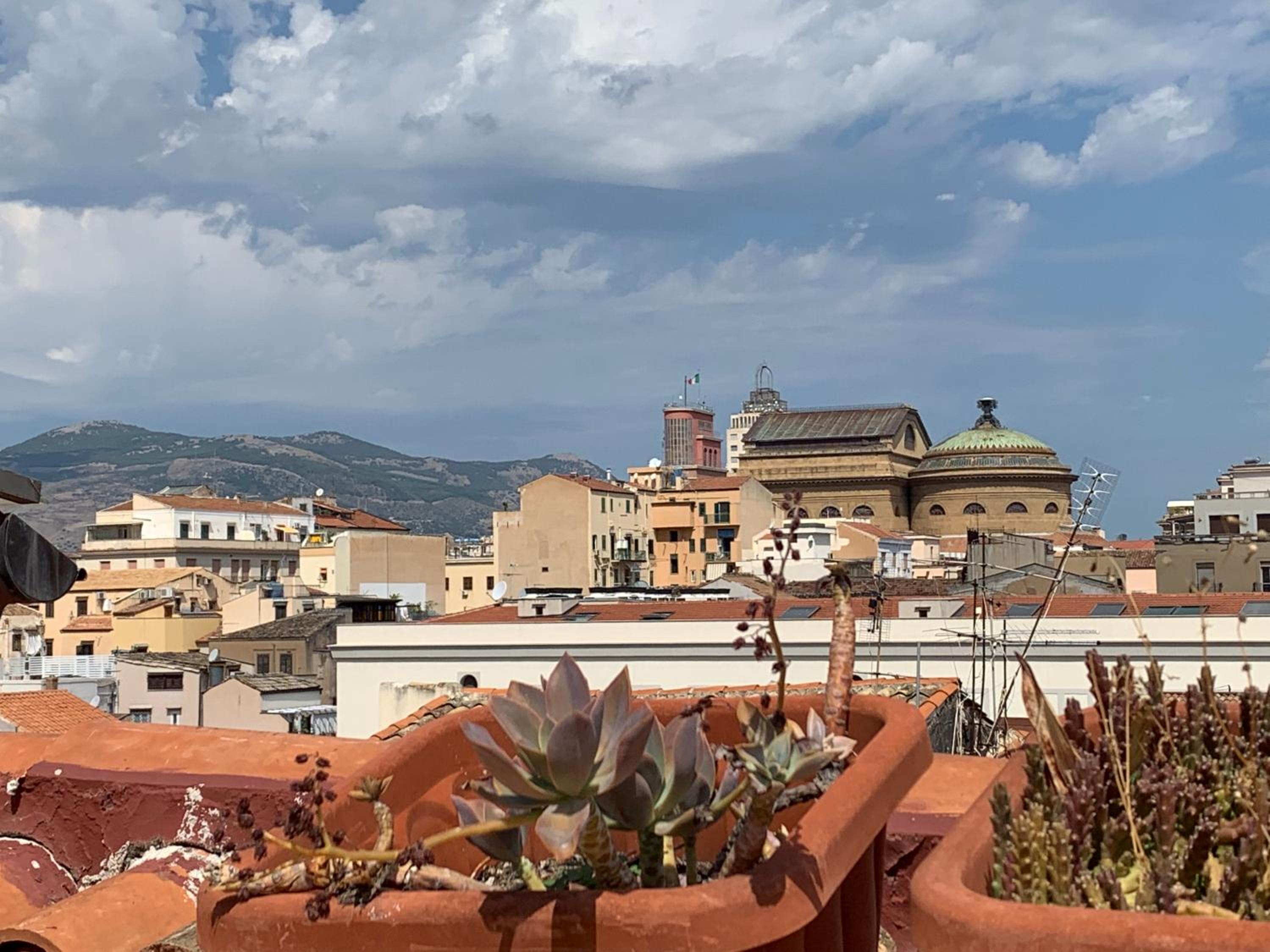 roof
