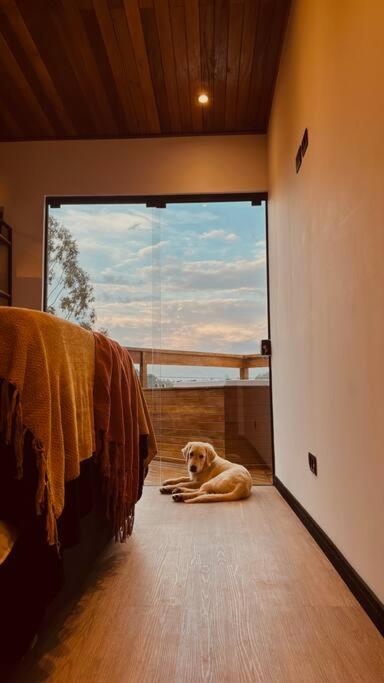 Tiny House Cabana Maia