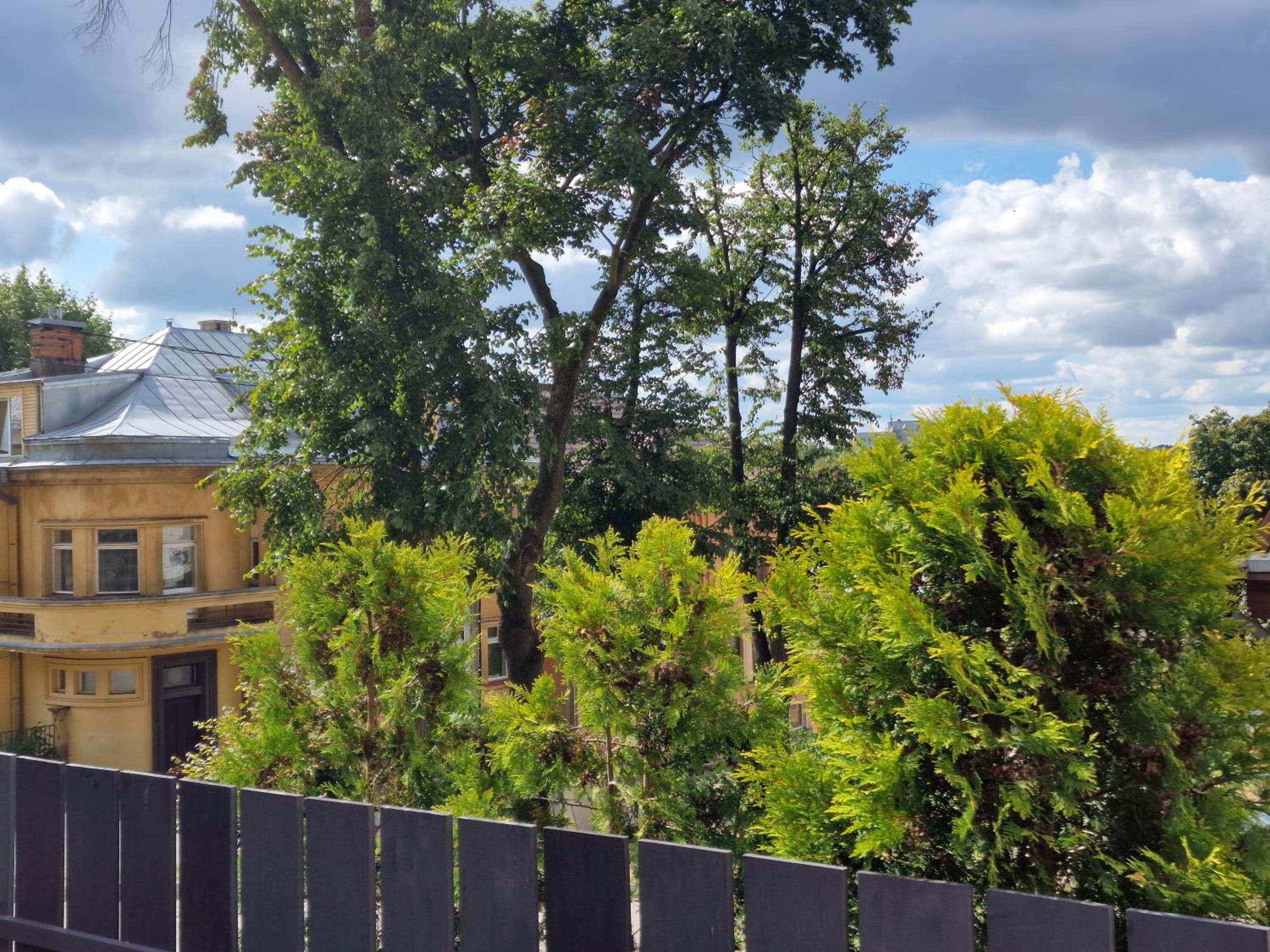 Park apartment view 4