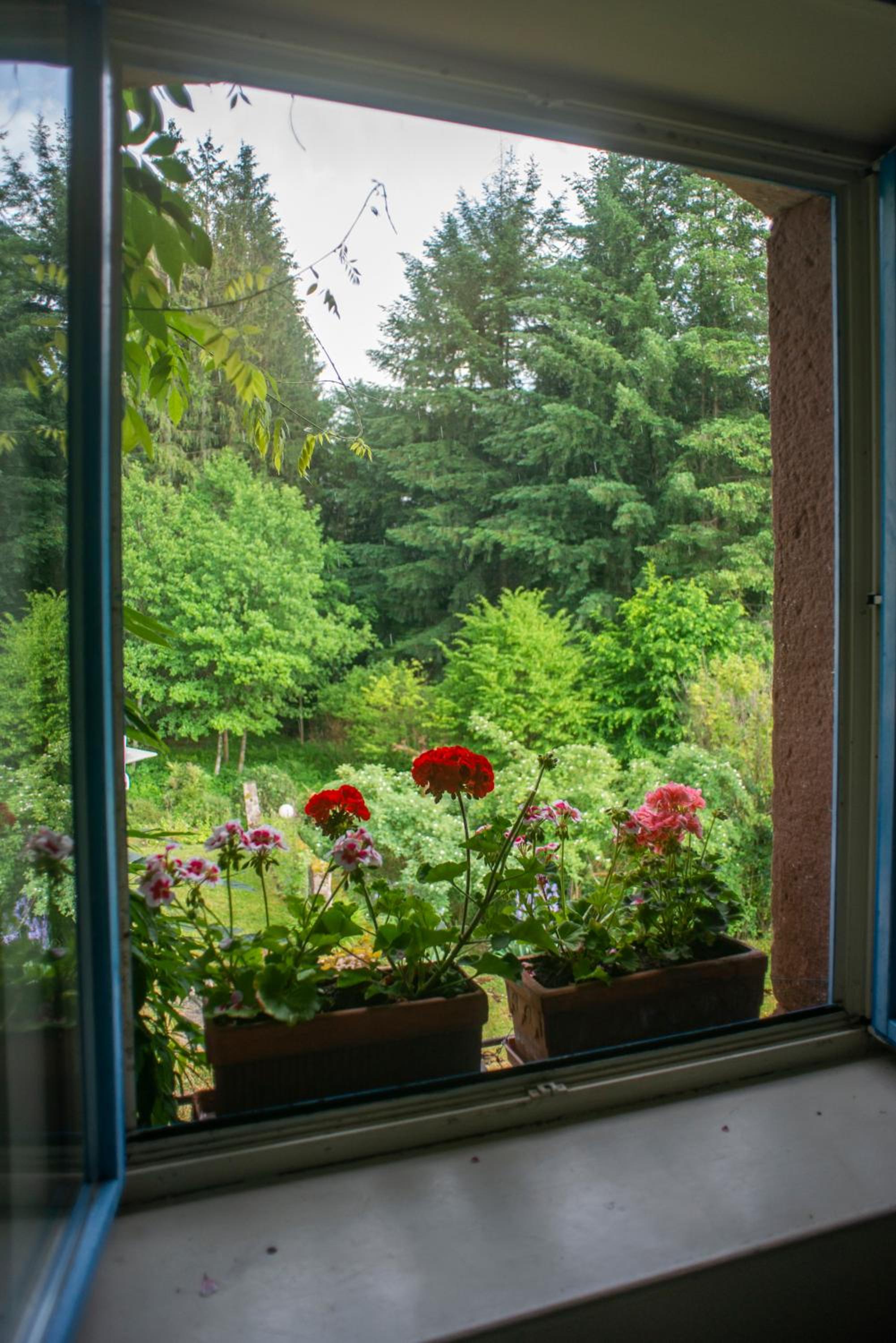garden