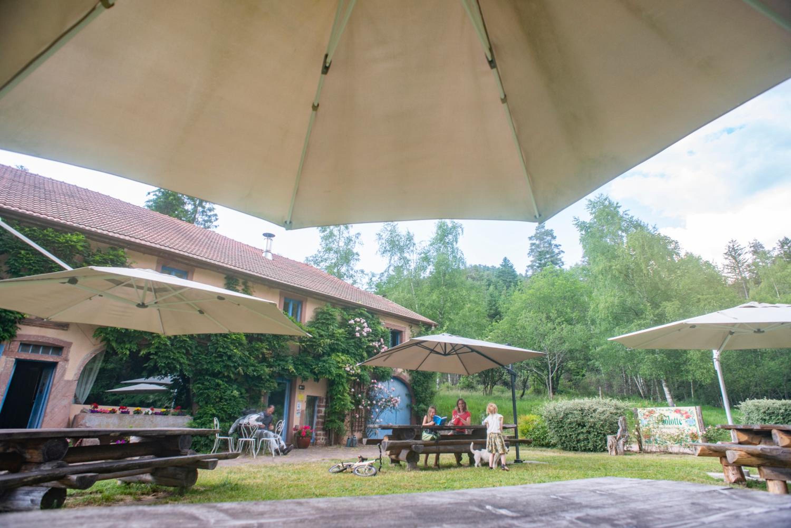 outdoor BBQ area