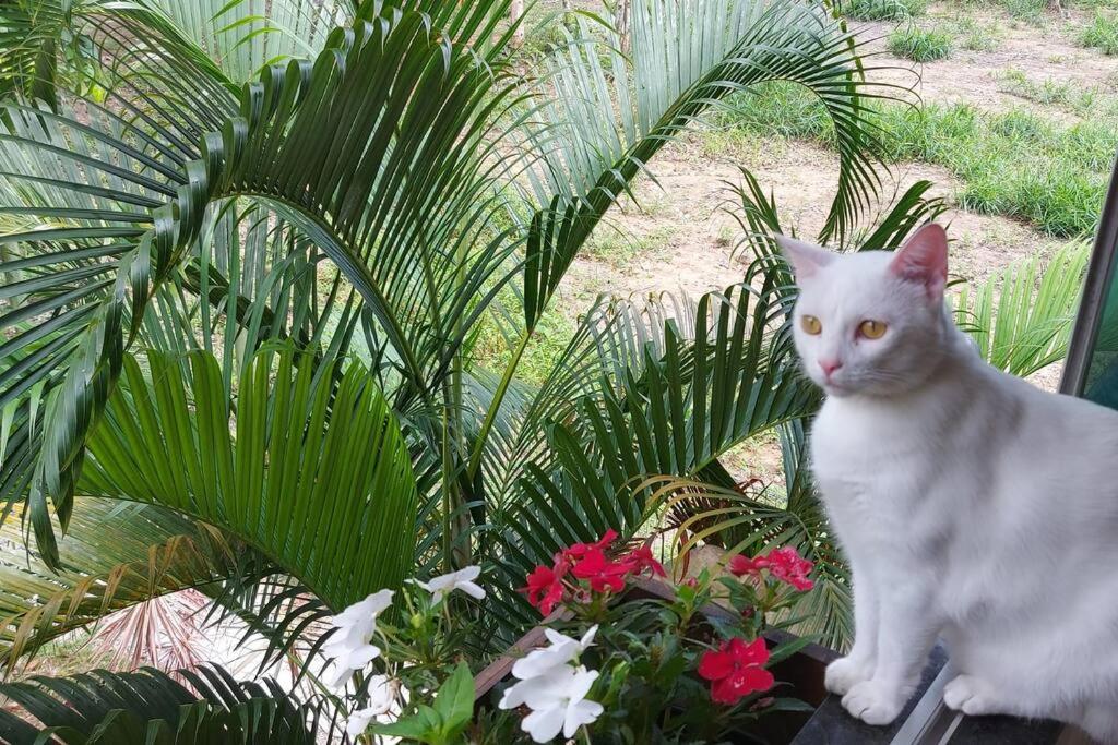 Cozy Eco Villa - 8 min. from Downtown Arraial