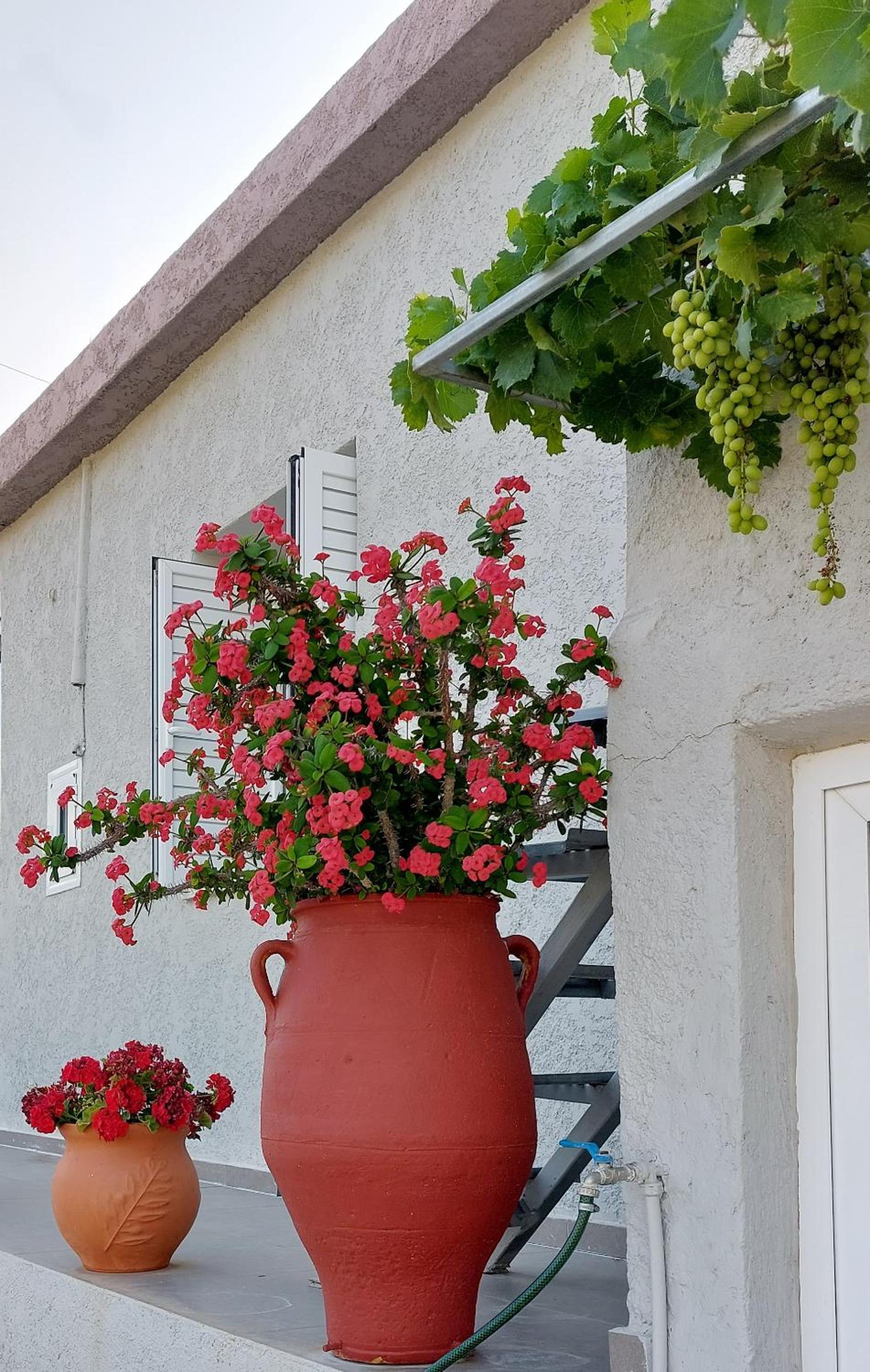 Harmony Cottage