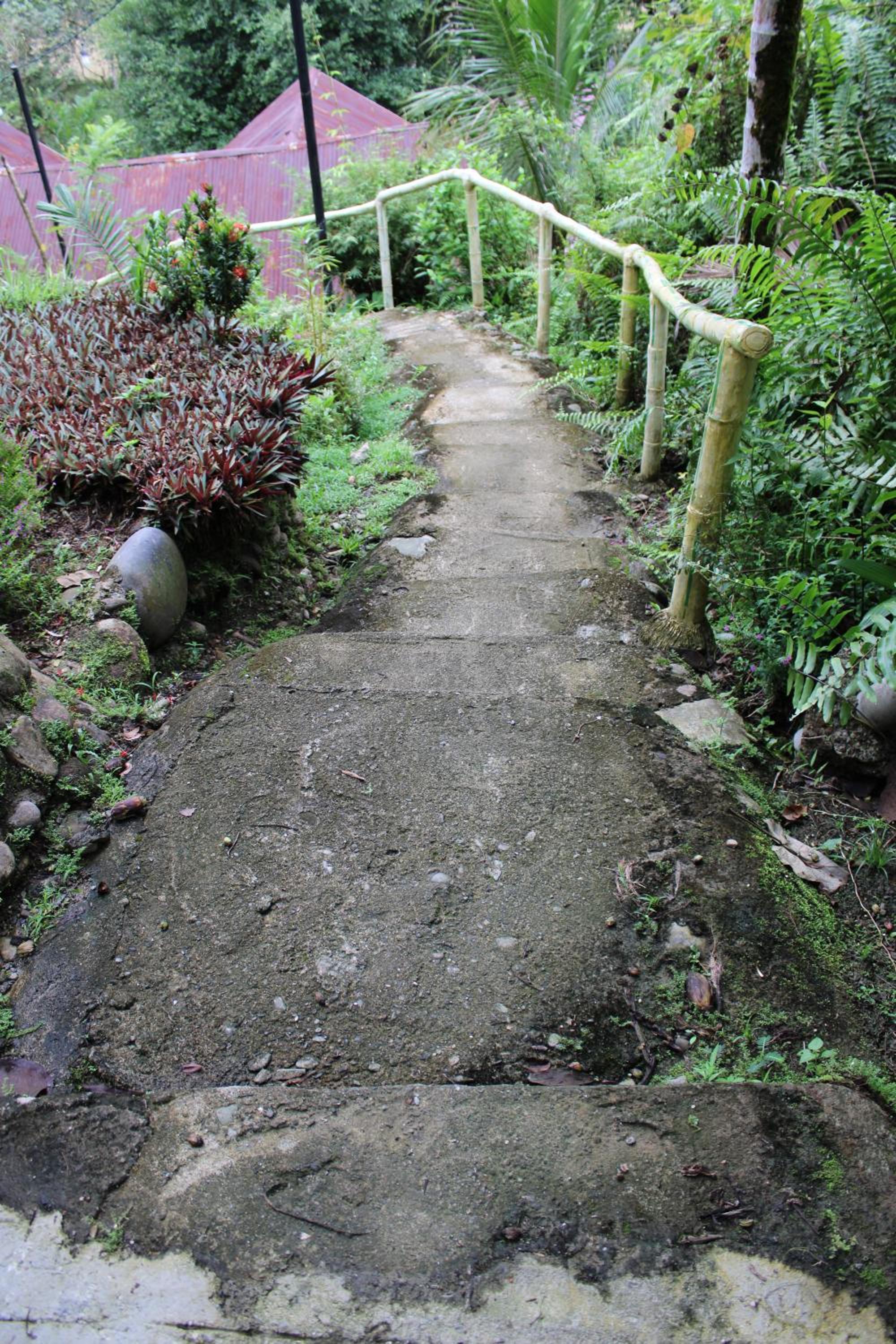 Photo 43