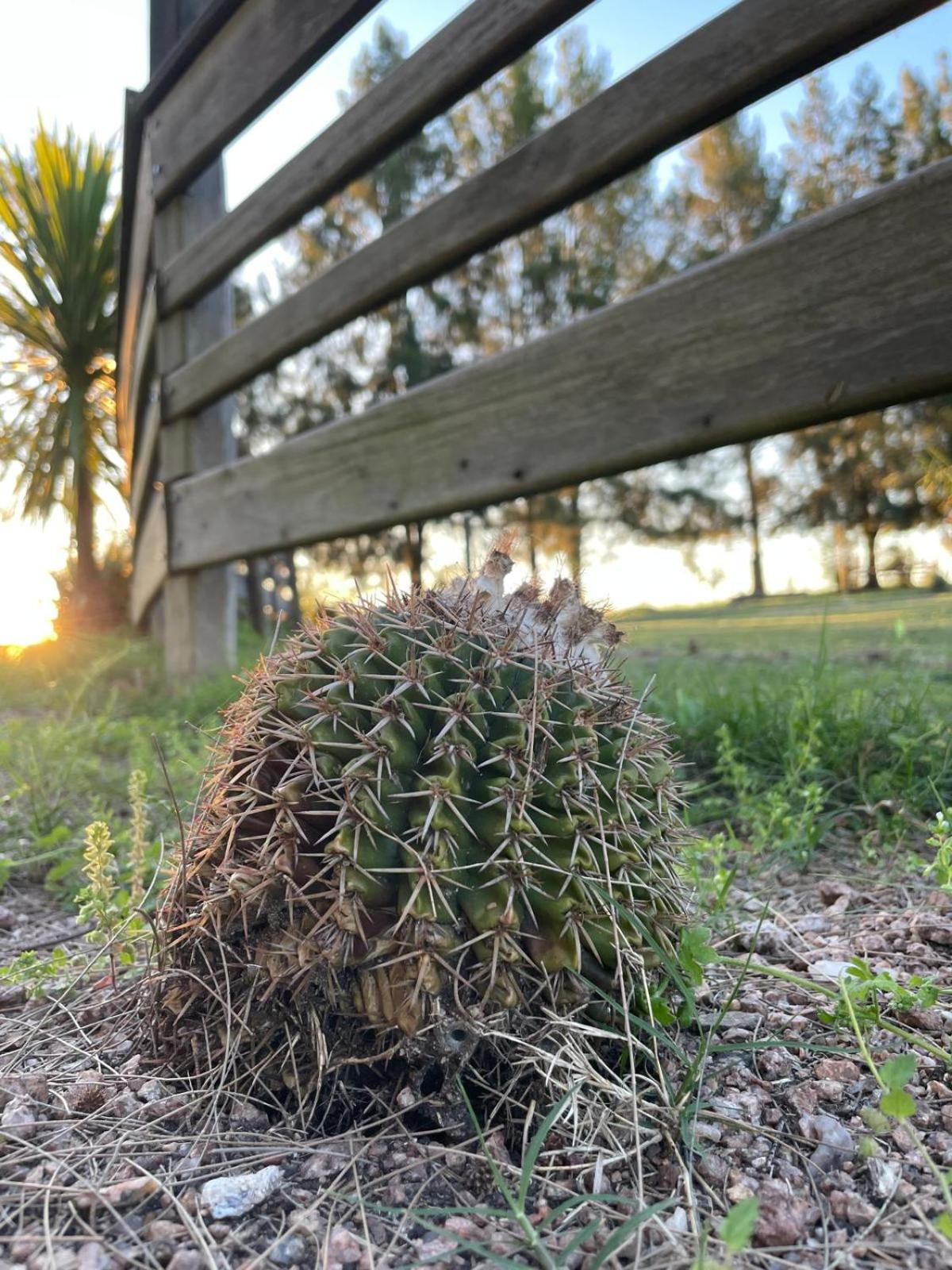Chacra Los Arándanos