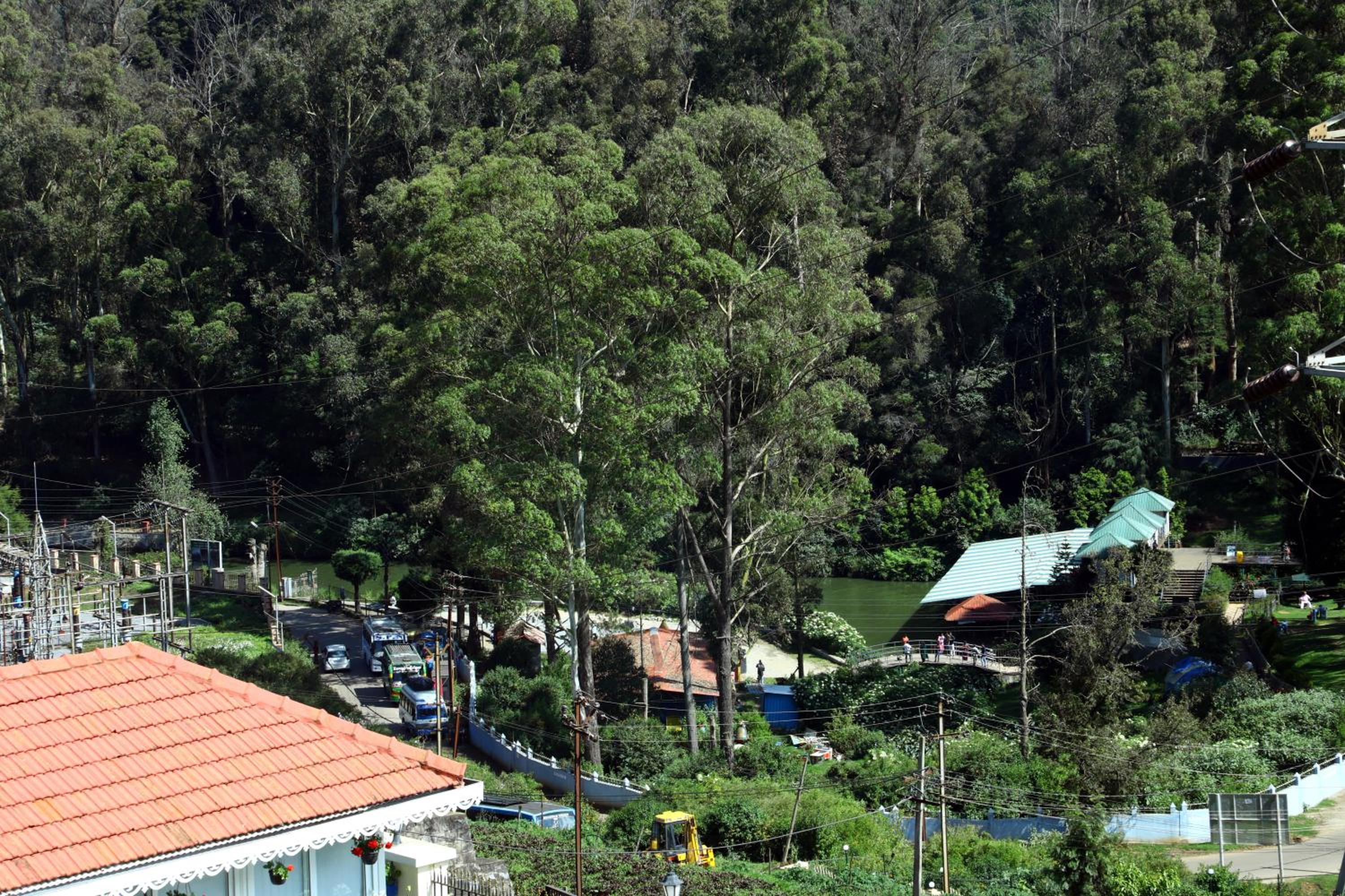 HAILSTONE HOME STAY, photo 9
