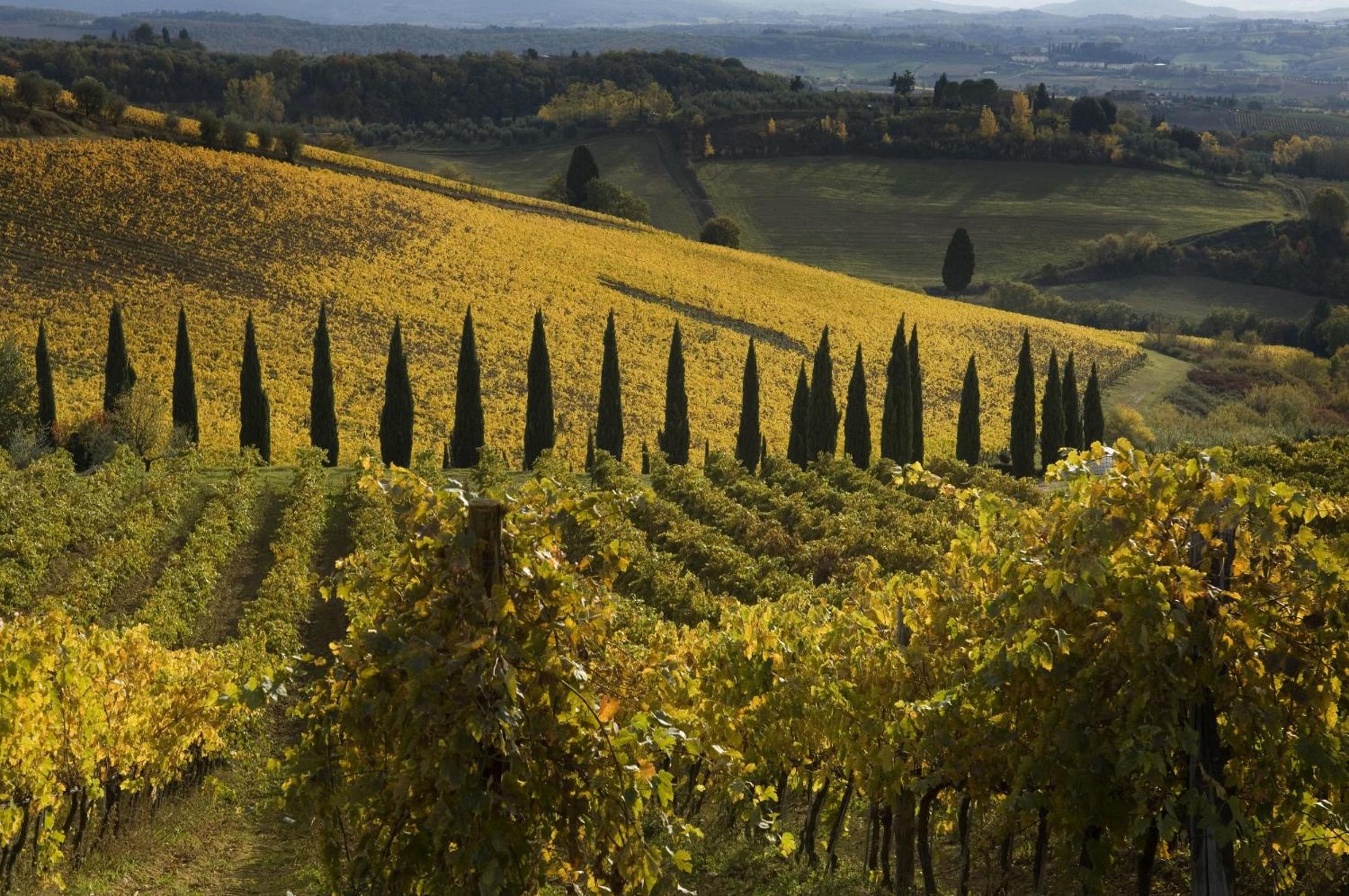 Agriturismo Campo Lungo