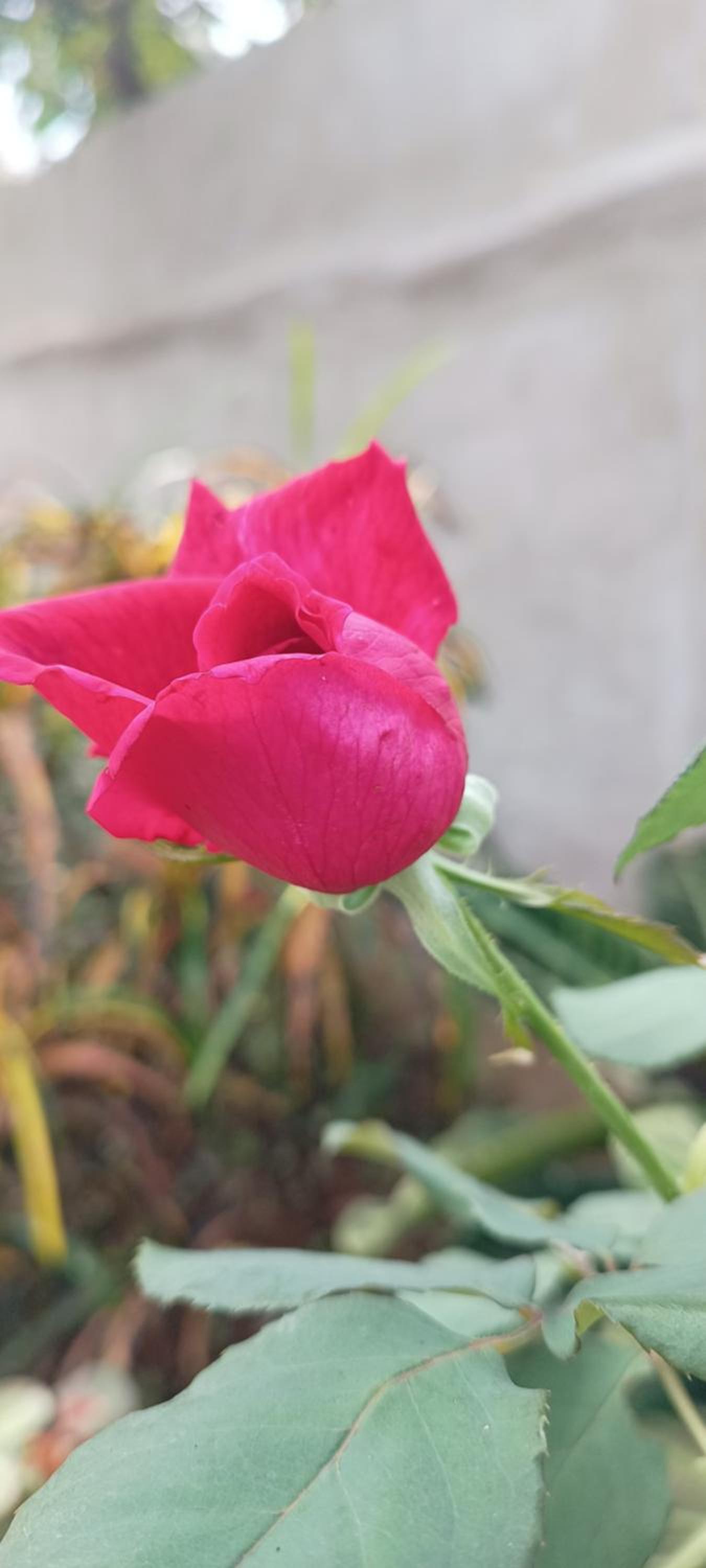 other
