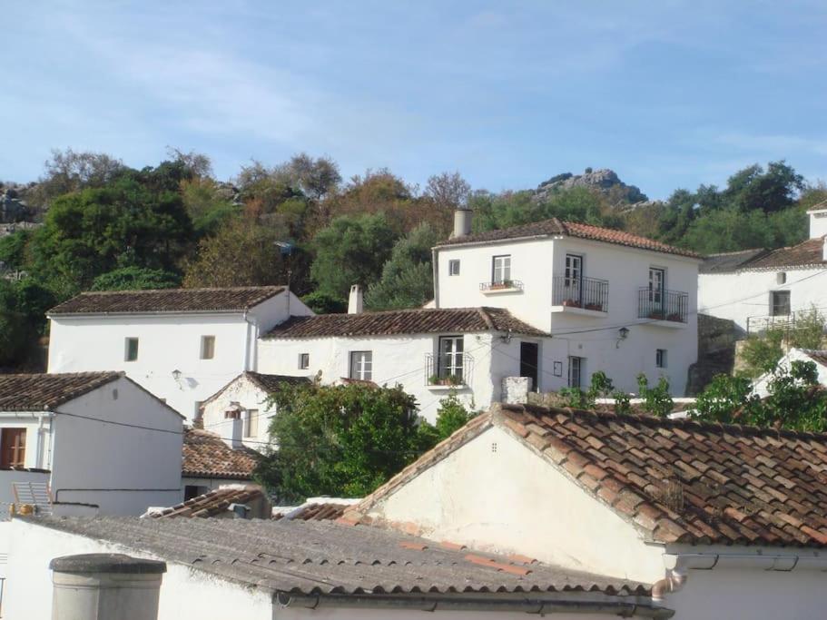 La Oliva