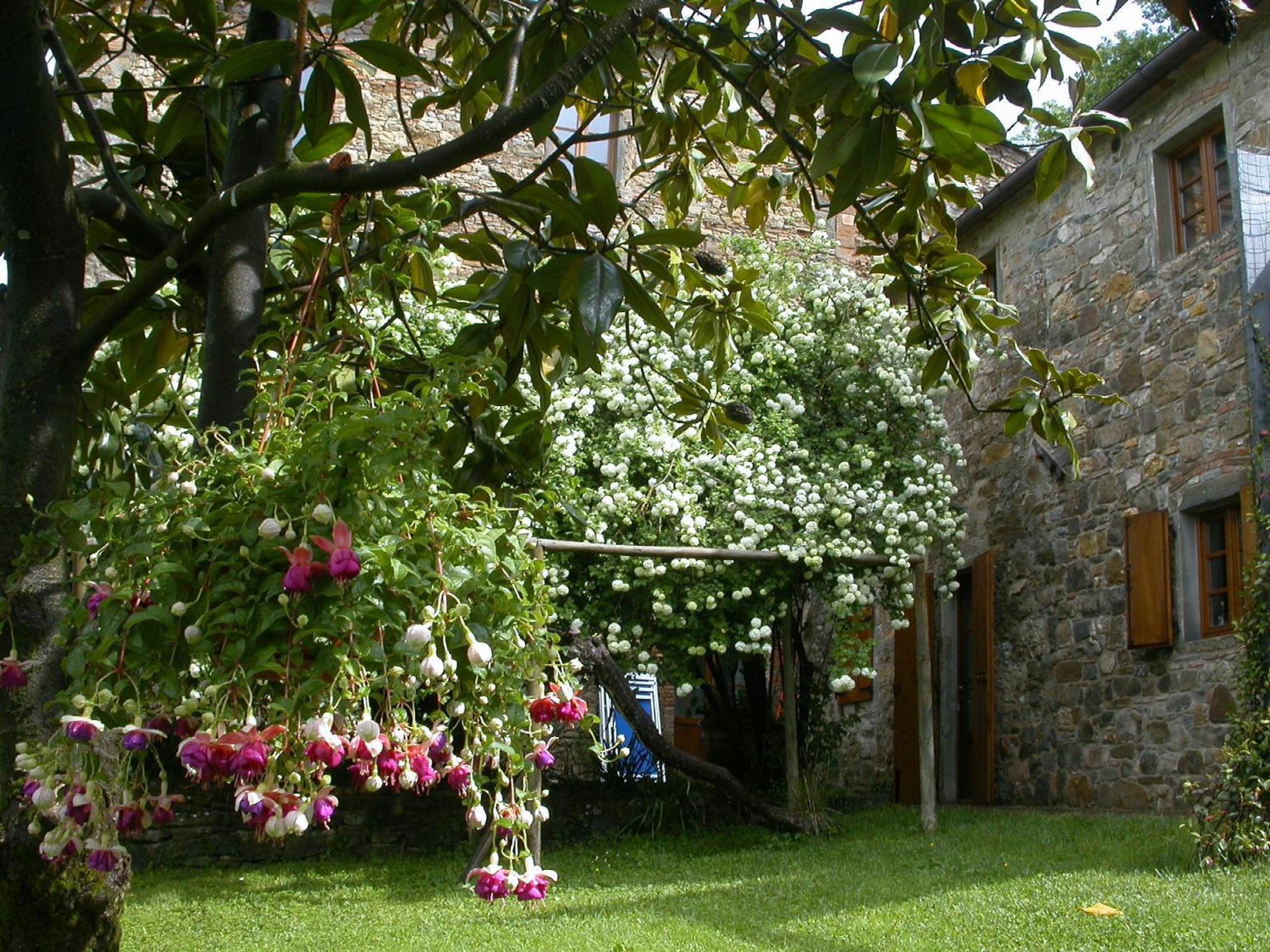 Photo 40