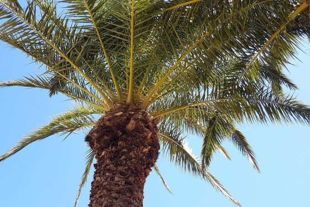 Casa Vista Moraira met fantastisch zeezicht en gemeenschappelijk zwembad