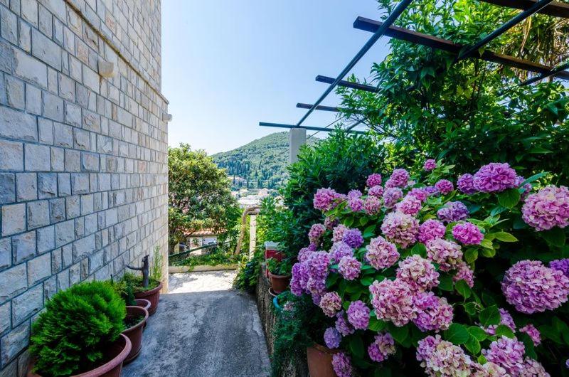 Apartment Pavo