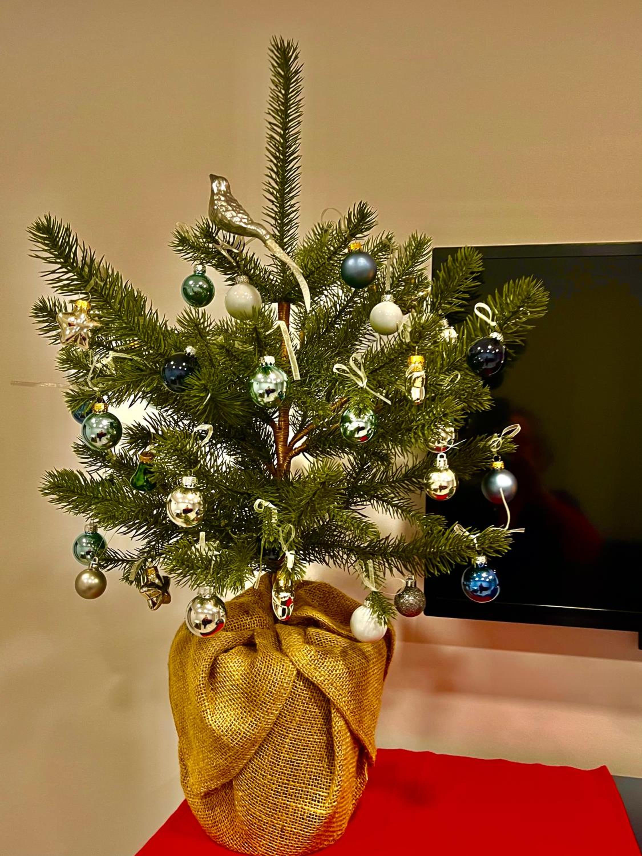 Photo 18