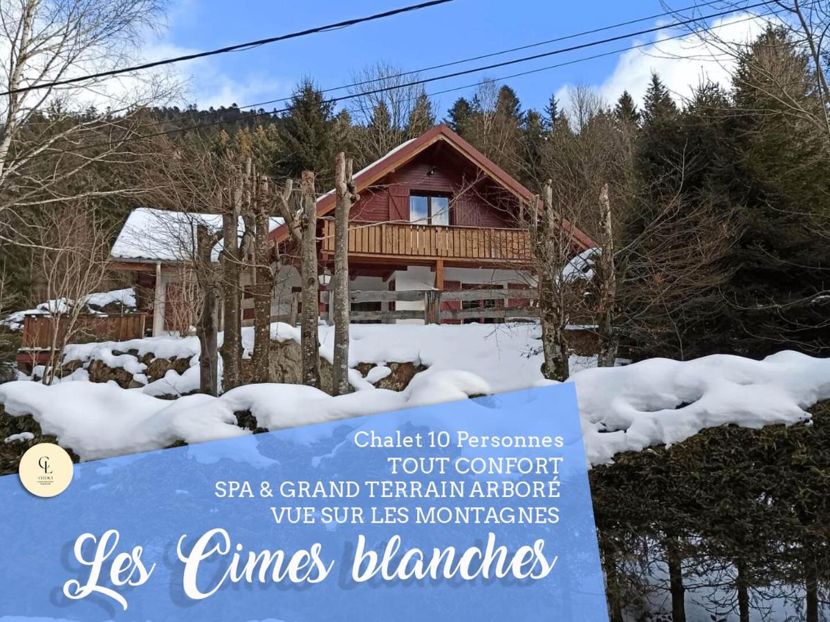 Hotel LES CIMES BLANCHES CLEDICIHOME Chalet 10 pers SPA & Grand terrain 4 MINUTES DES PISTES - Image 1
