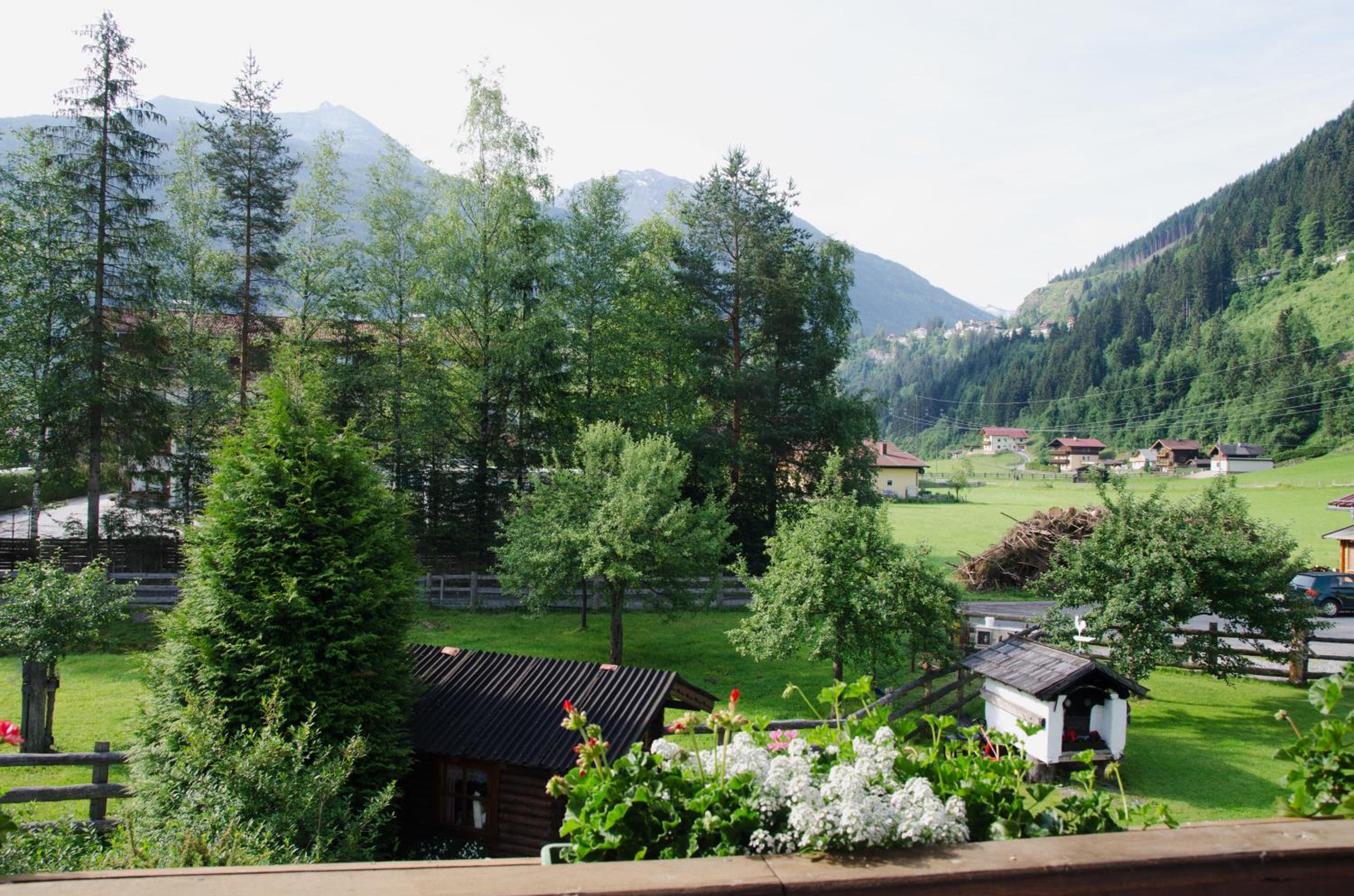 Scheibenhof