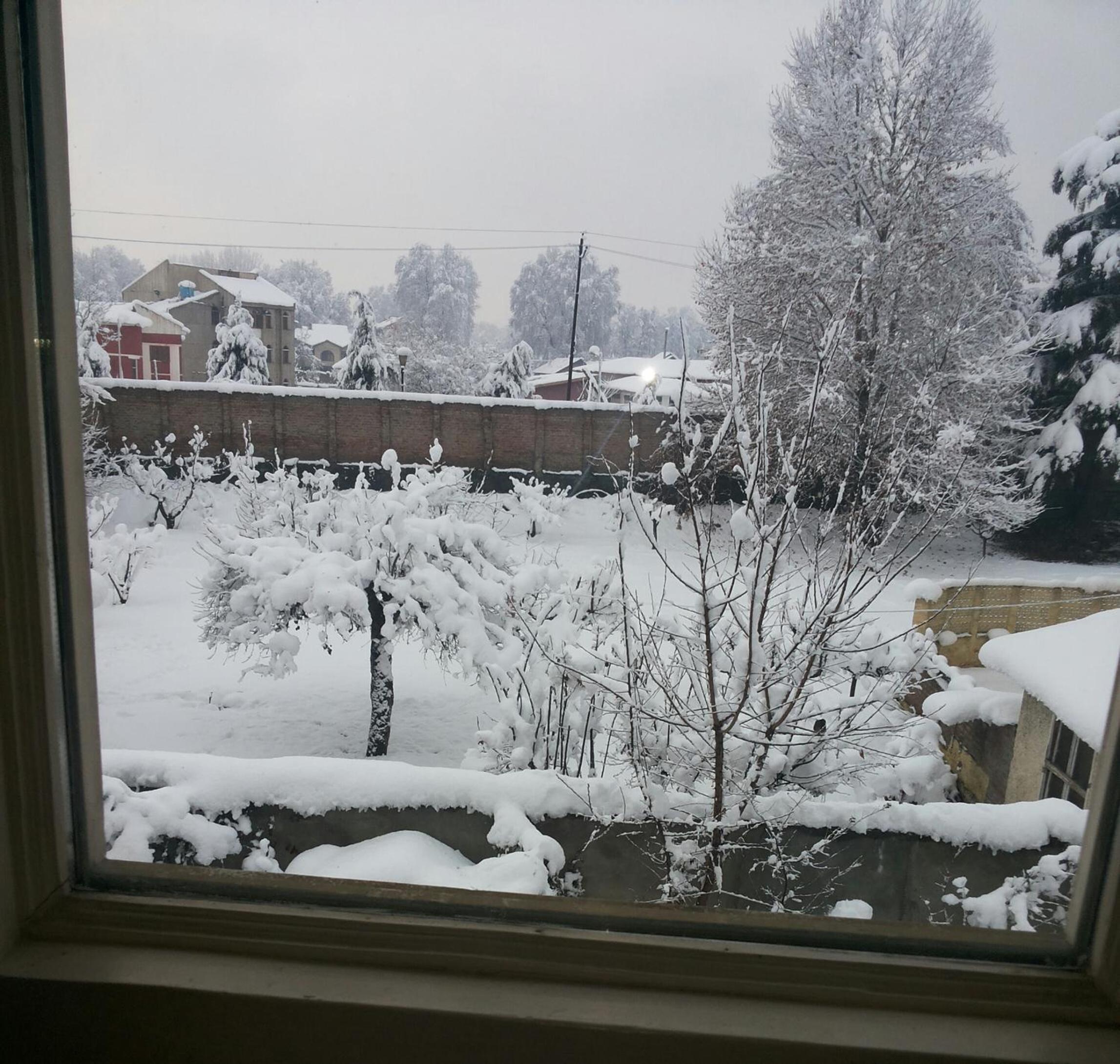 Photo 22