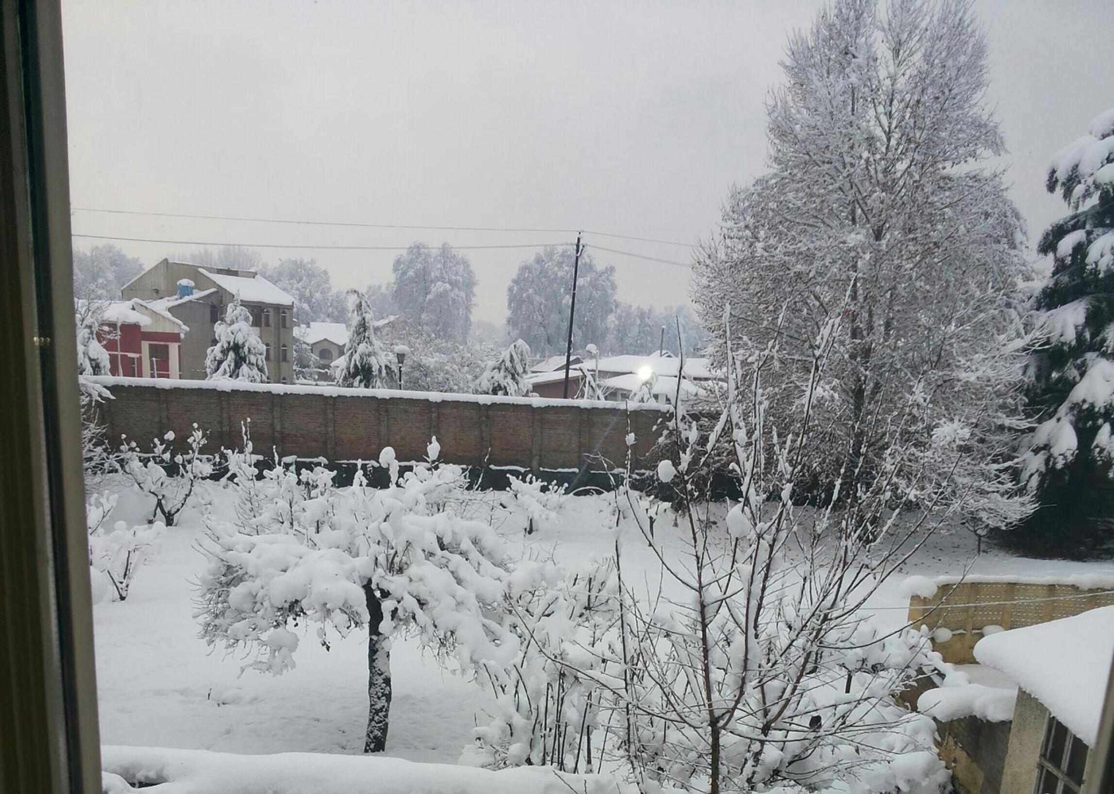 Photo 23
