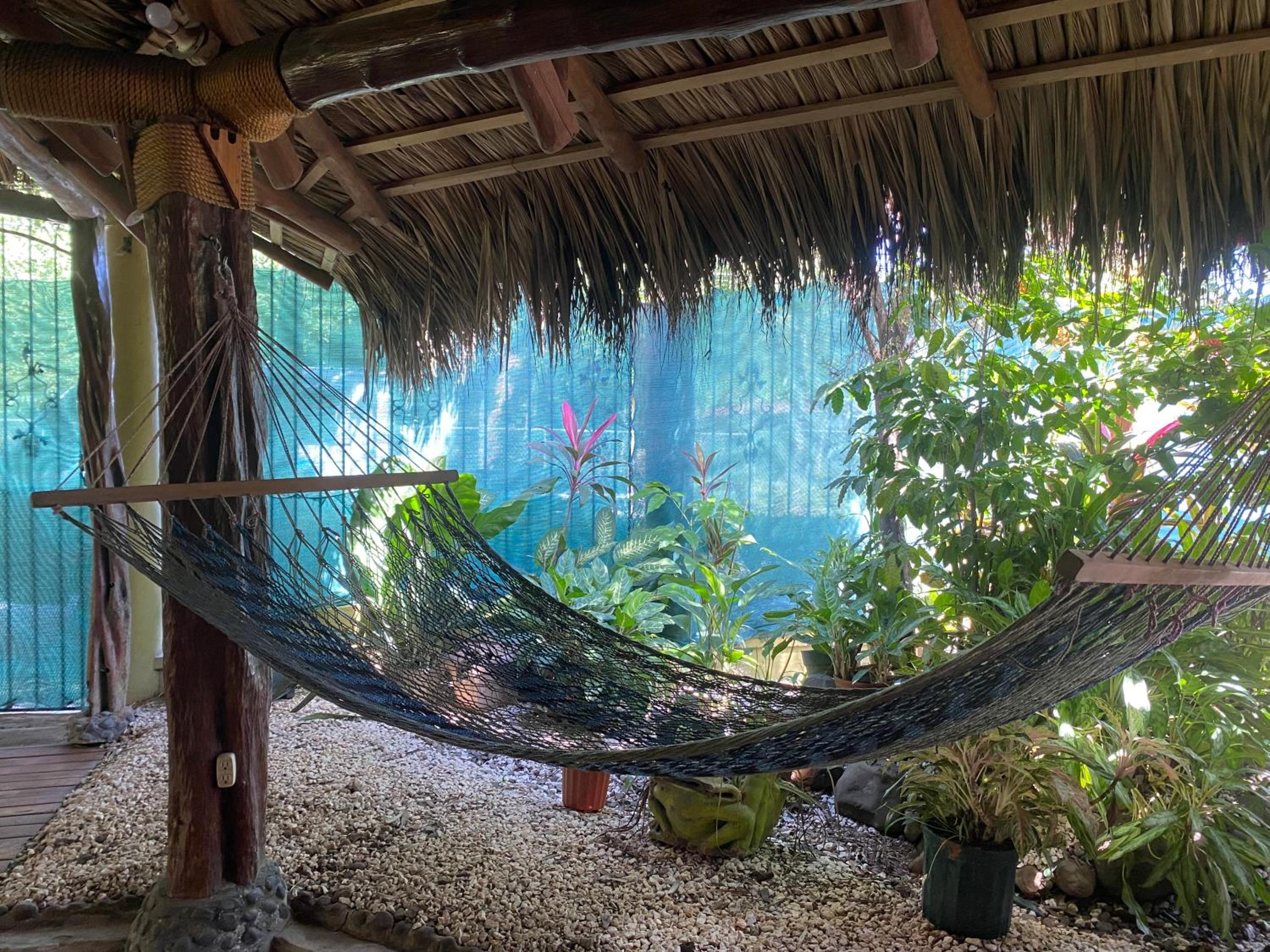 Mauras Tropical Mini Hostel & Tours