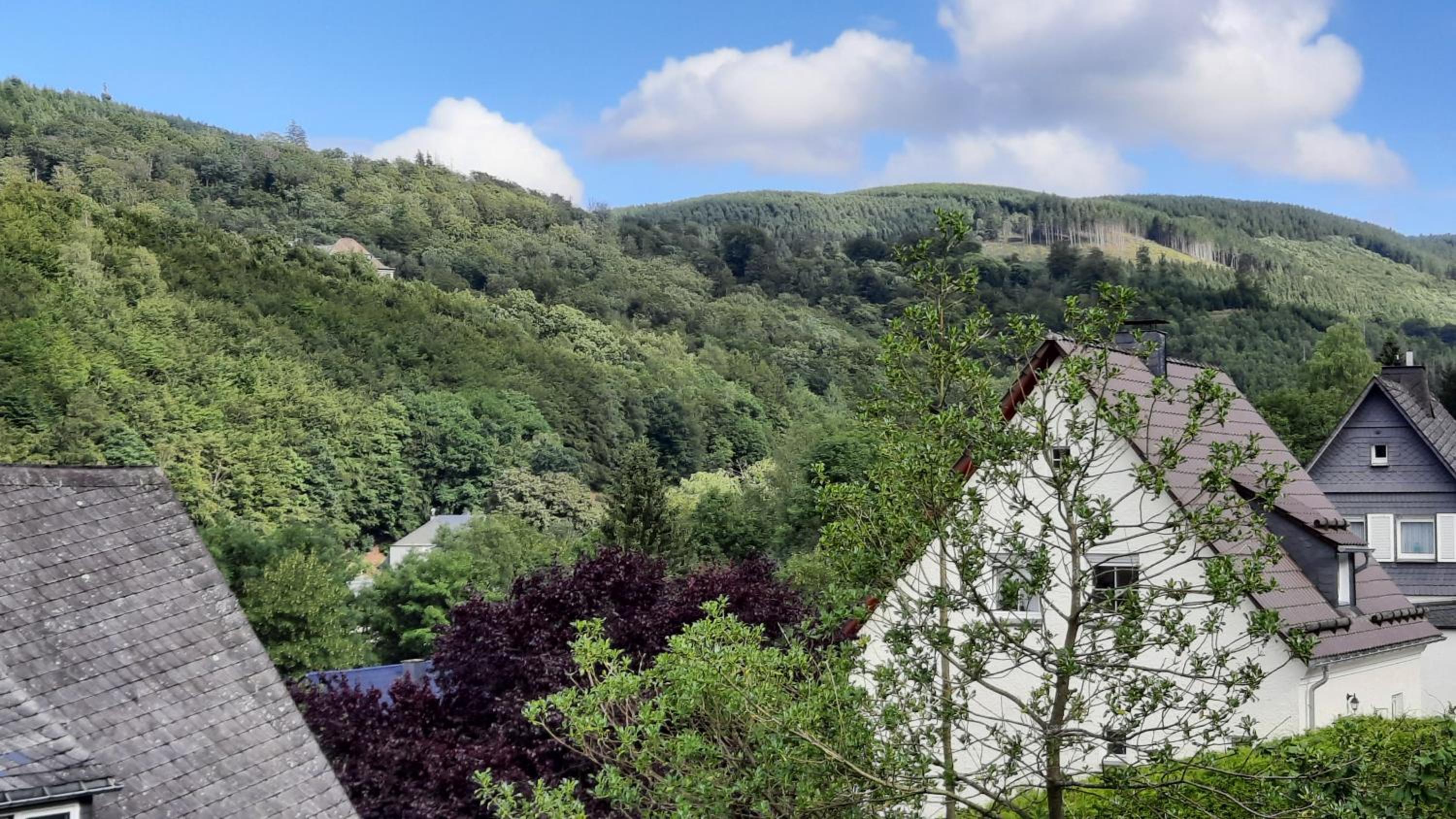 YALET Ferienhaus 2 appartementen vlakbij Willingen