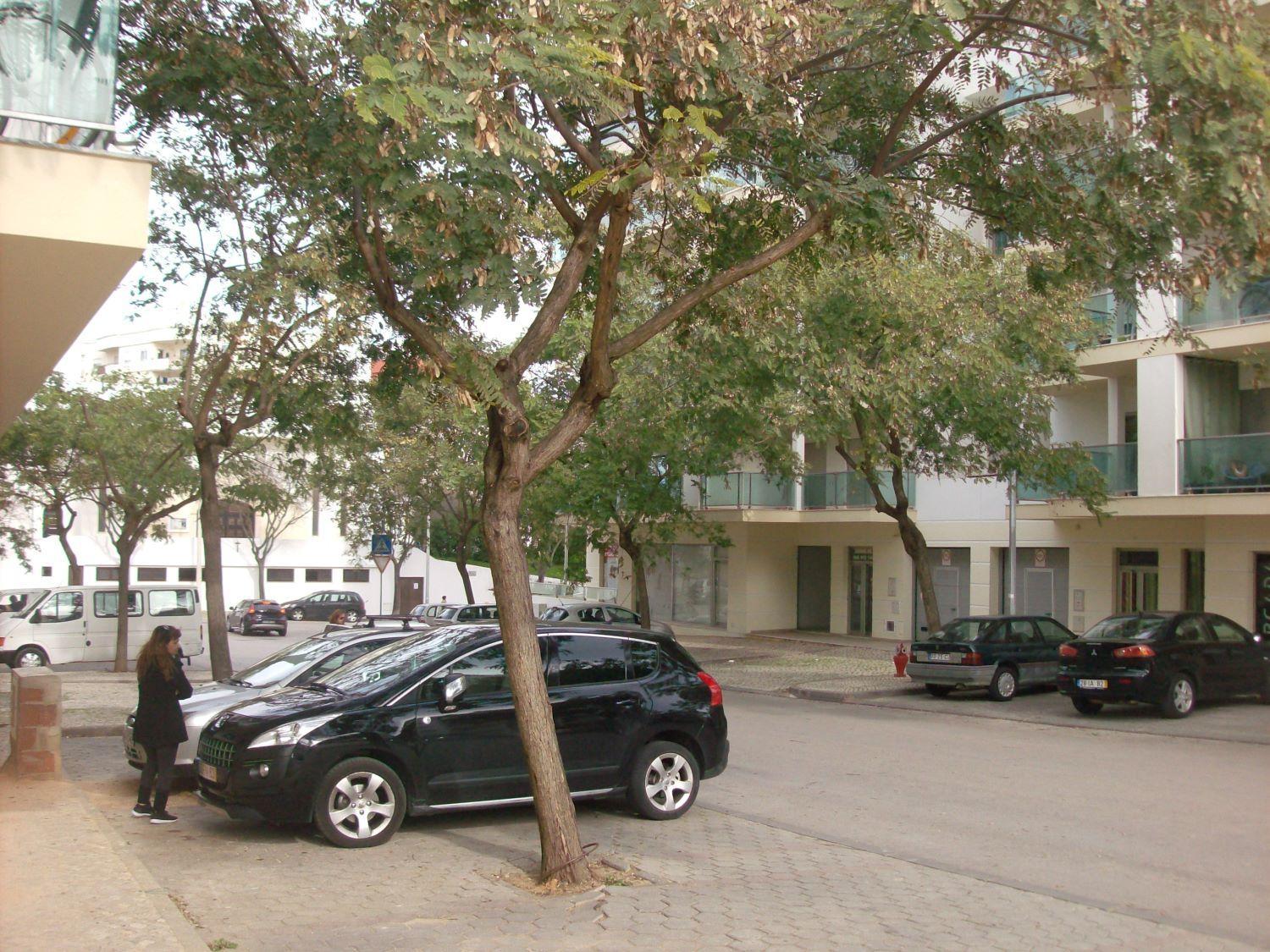 parking