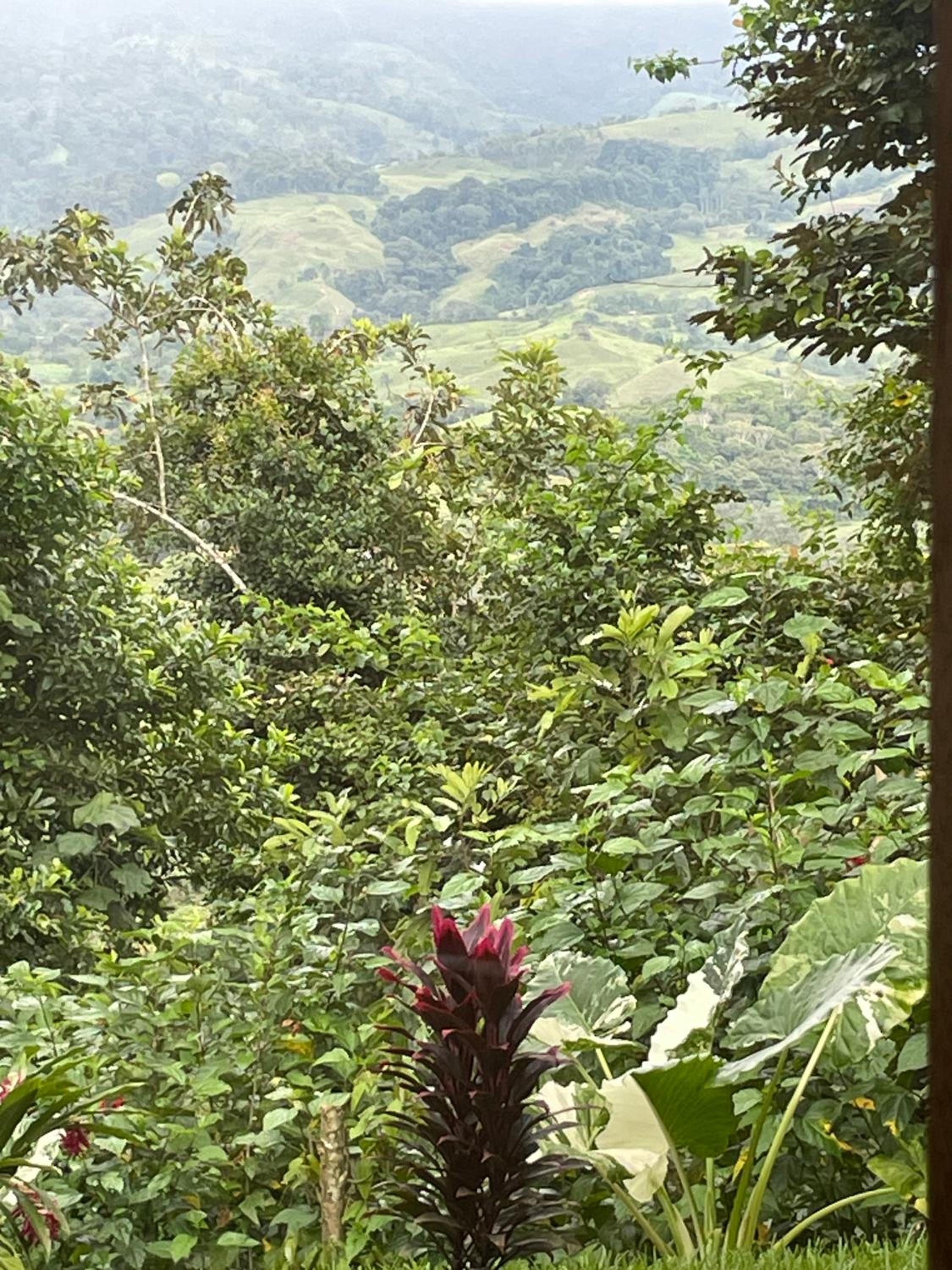 Cascada Elysiana