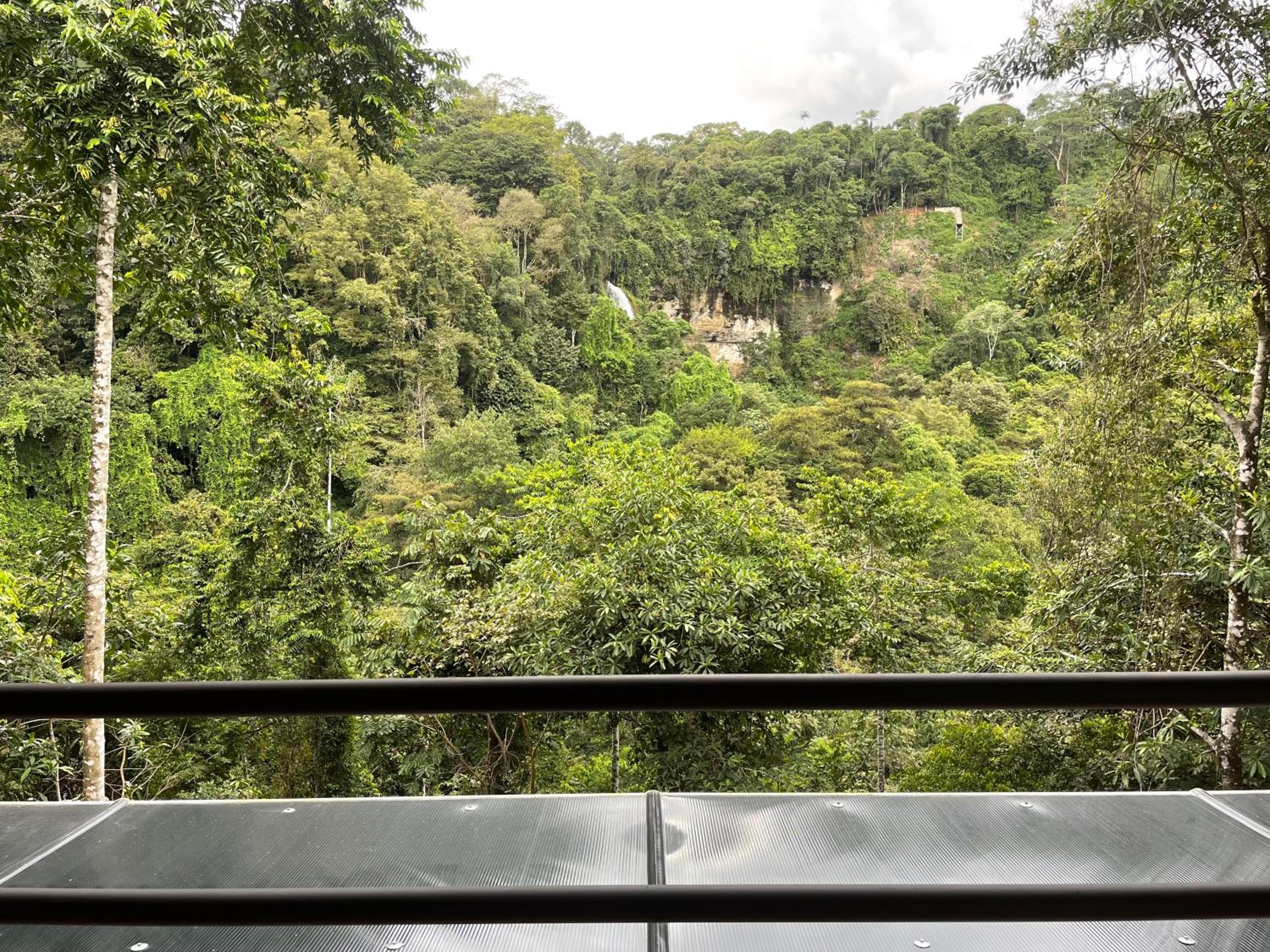 Cascada Elysiana