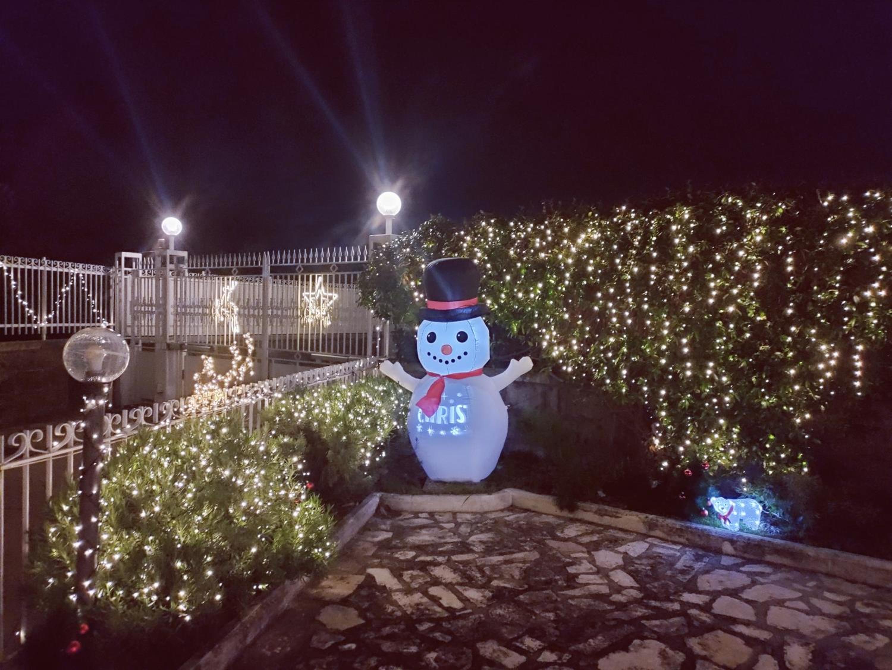 Villa Luciana photo 3