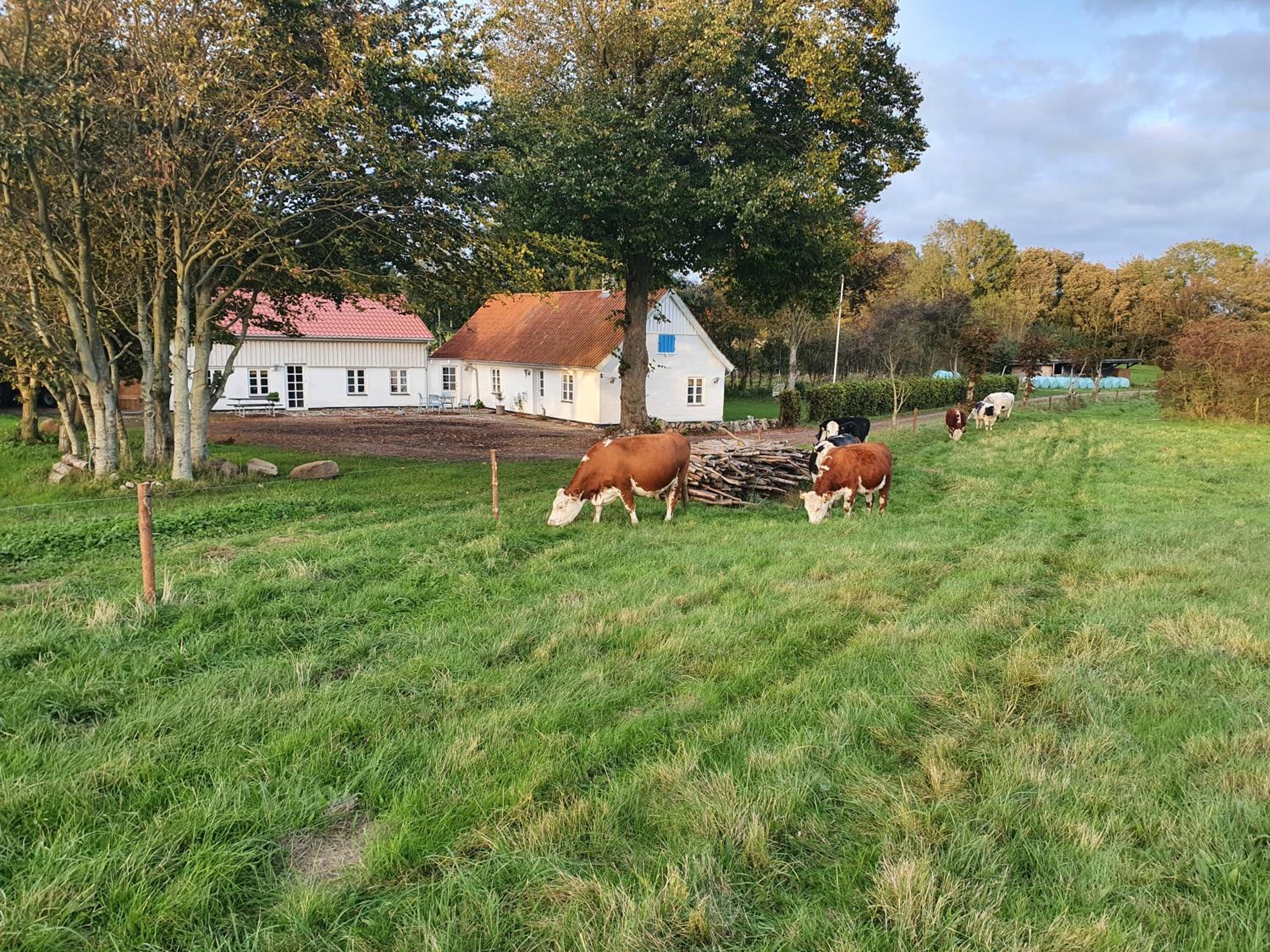 Slotsgaardens feriegård.