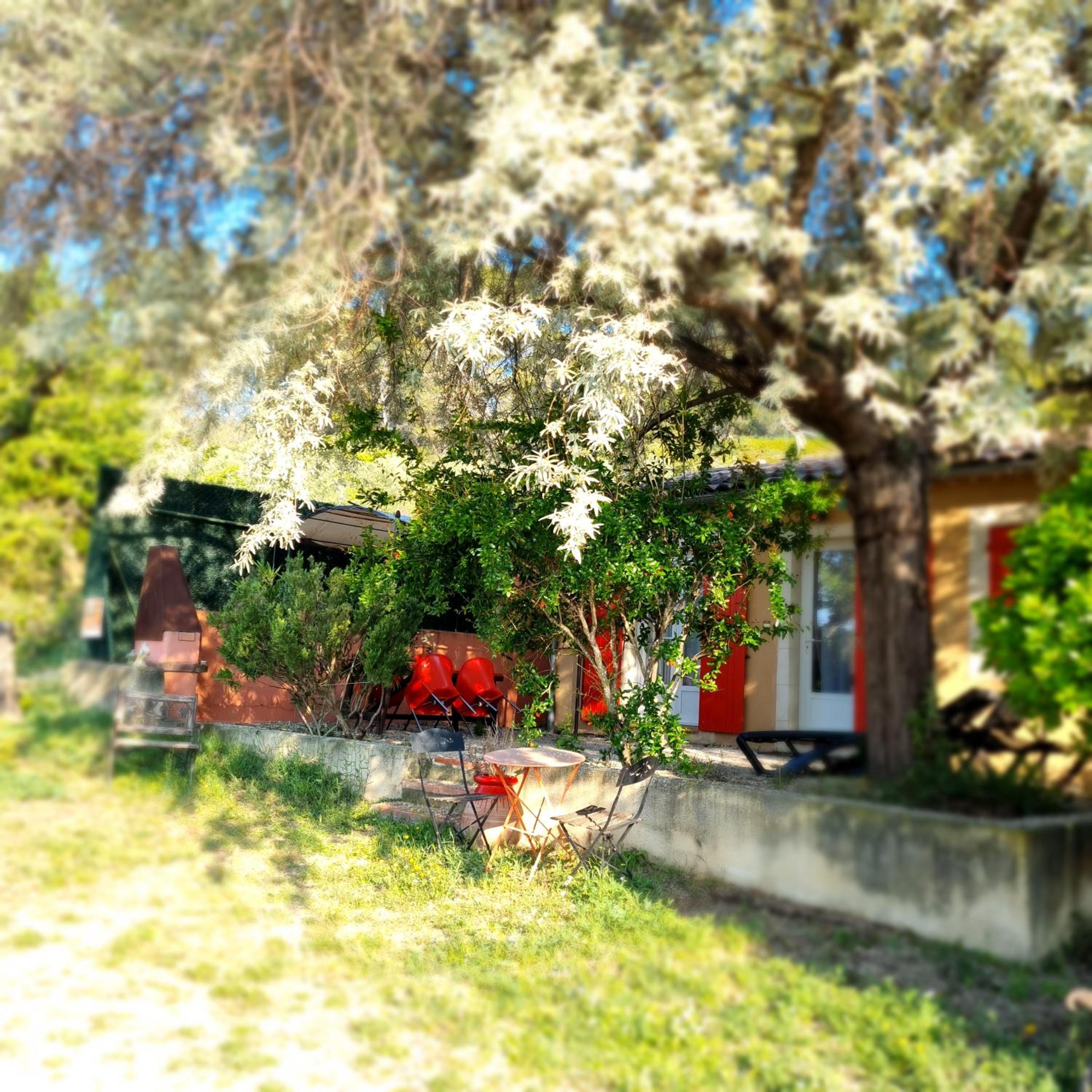 Domaine Lou Amì