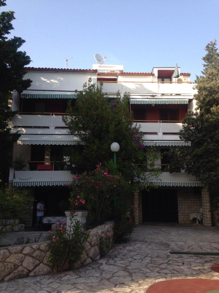 Photo 45