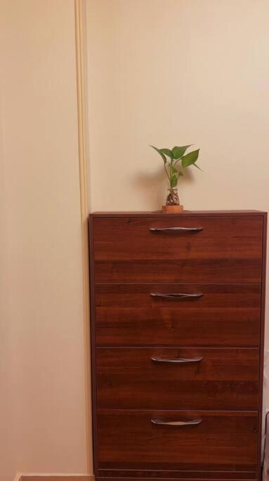 Cosy 2-BDR APT in New Cairo