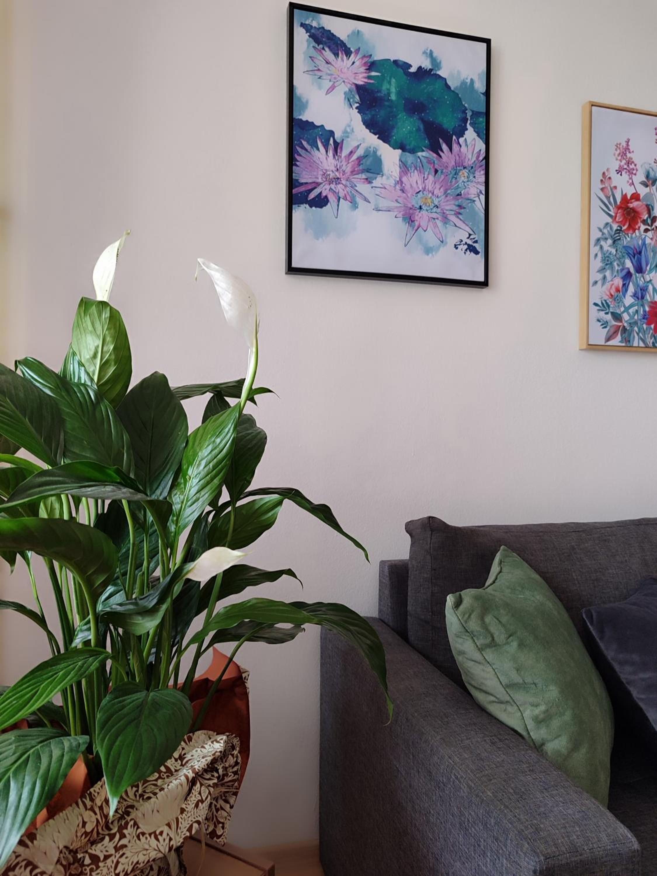 Apartman Behar Otoka Sarajevo