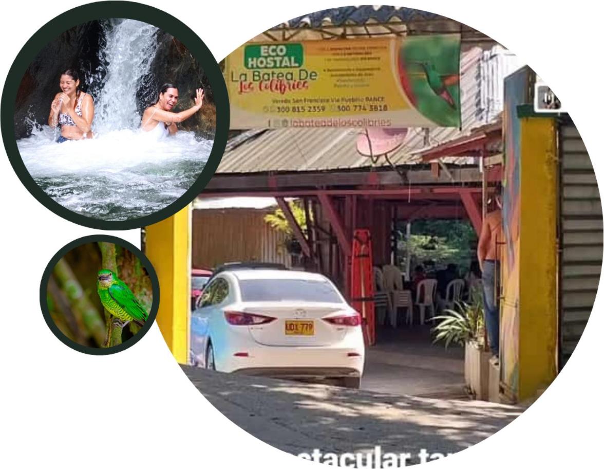 Eco Hostal La Batea De Los Colibries