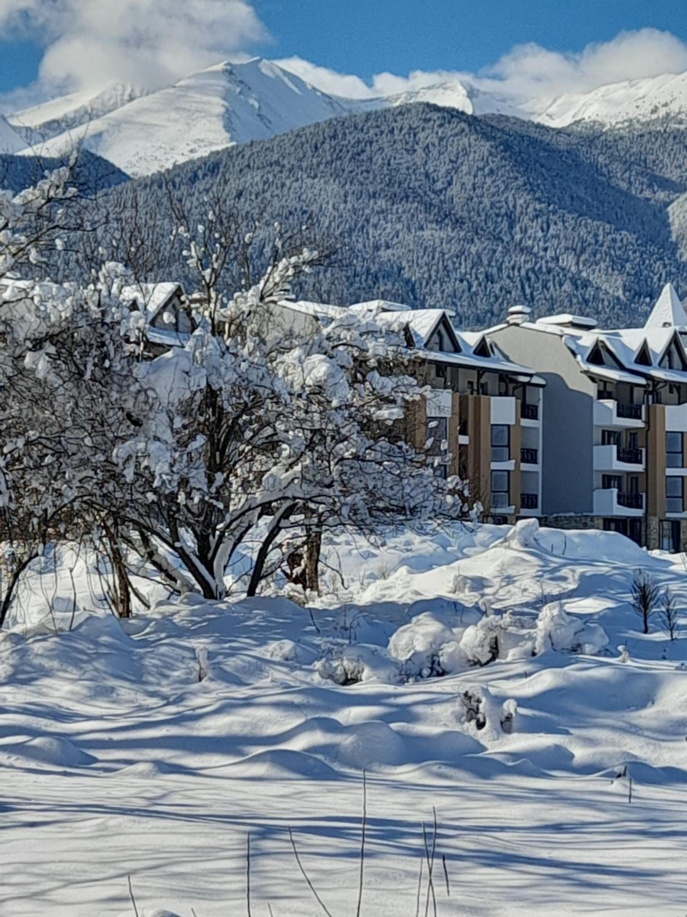 VIP Apartments Belvedere with terrace K105